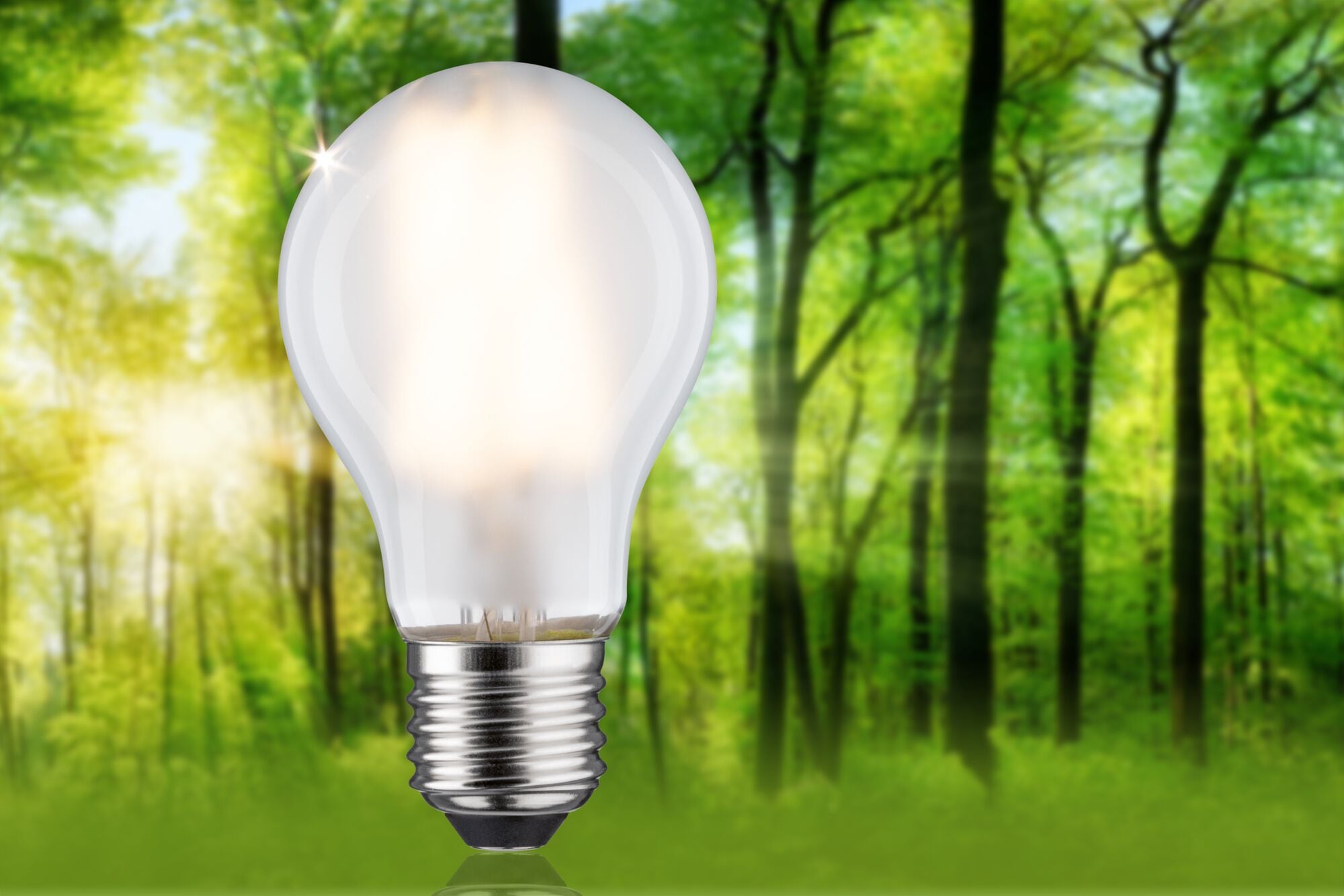 Paulmann LED-Leuchtmittel »Efficient-Line Filament 230V LED Birne E27 1 St. 1055lm 5W 3000K Matt« E27 1 Stk. Warmweiß
