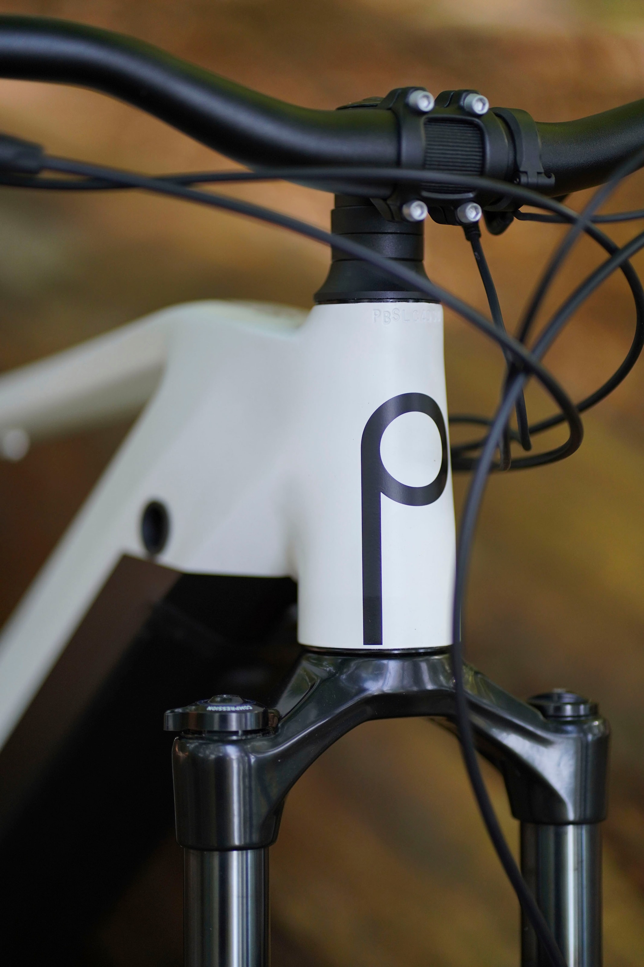 Prophete E-Bike »DICE 5.0«, 12 Gang, Shimano, Mittelmotor 250 W