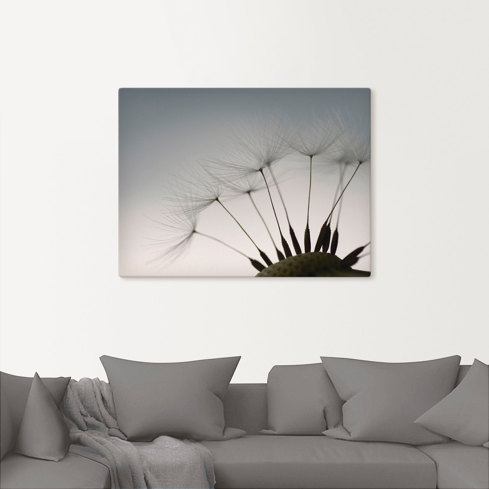 Artland Leinwandbild »Pusteblumen-Samen I« Blumen 1 Stk. tlg. auf Holzrahmen gespannt
