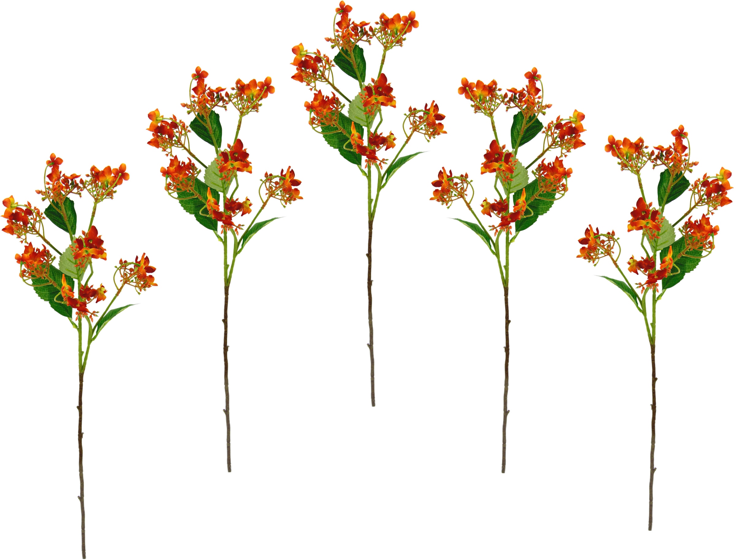 I.GE.A. Kunstblume »Blütenzweig«, 5er Zweig, Set Kunstpflanze, Dekozweig bestellen künstlicher bequem
