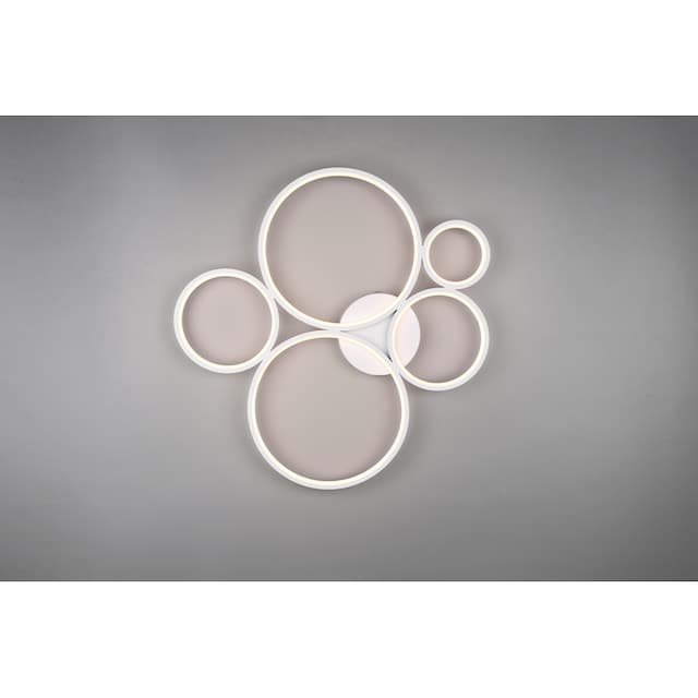 TRIO Leuchten LED Deckenleuchte »RONDO«, 1 flammig-flammig, dimmbar über  Wandschalter, zur Decken- und Wandmontage geeignet online kaufen | mit 3  Jahren XXL Garantie