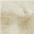 beige + Felloptik