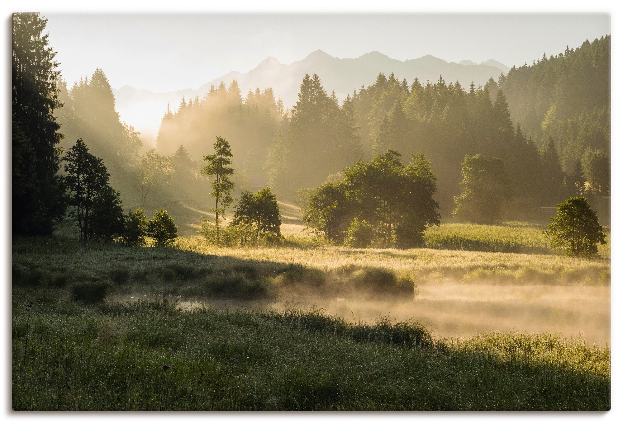 Artland Wandbild »Sommermorgen in den Alpen«, Wiesen & Bäume, (1 St.), als Leinwandbild, Wandaufkleber in verschied. Größen