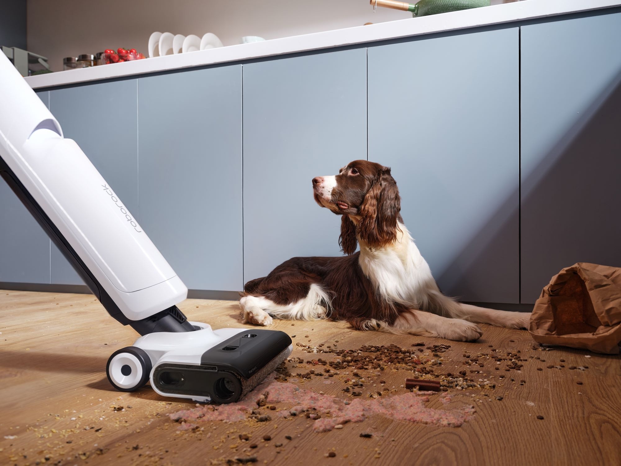Roborock Nass-Trocken-Akkusauger »Flexi Lite, Selbstreinigende und trocknende Rolle in der Station«, DirTect™-Technologie zur intelligenten Schmutzerkennung