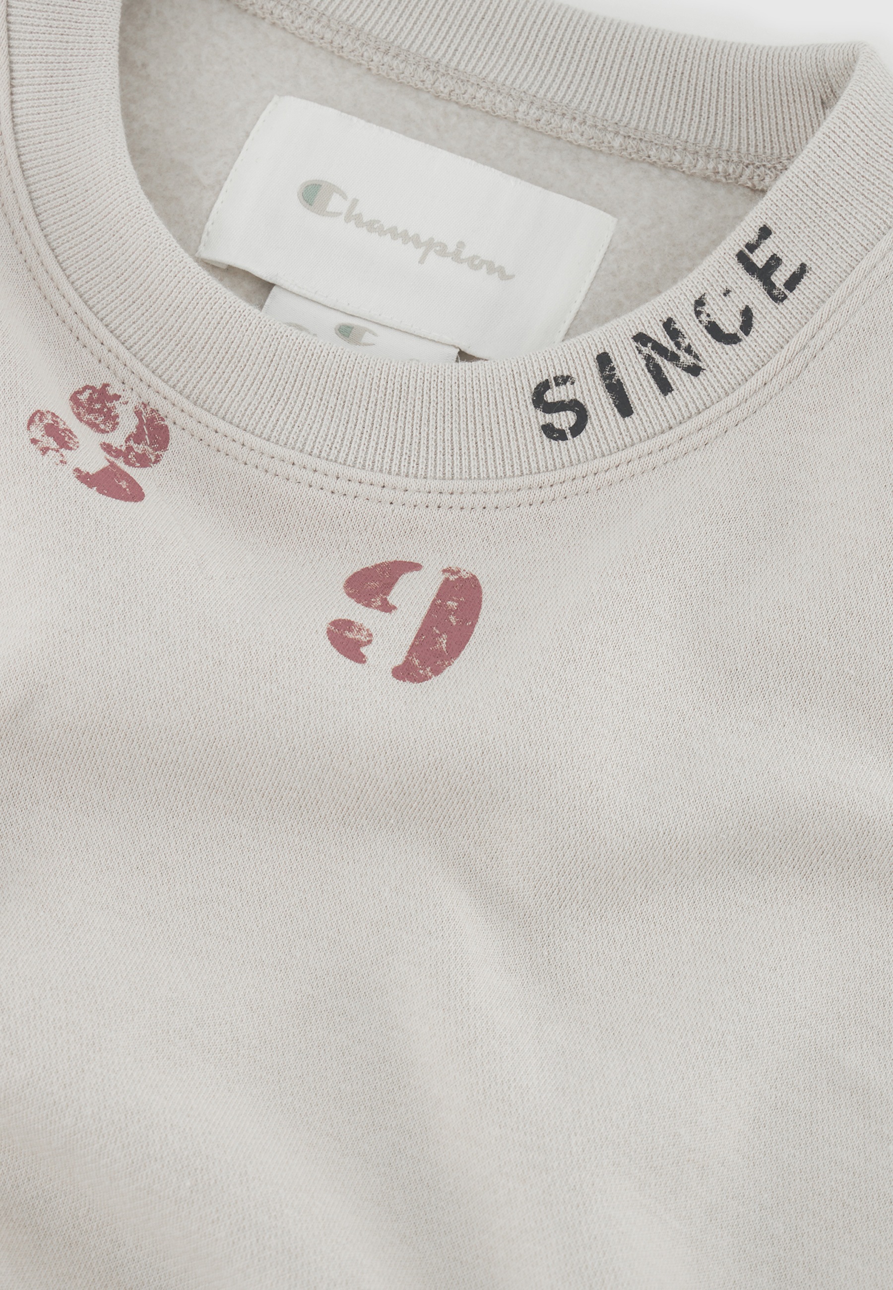 Champion Sweatshirt
