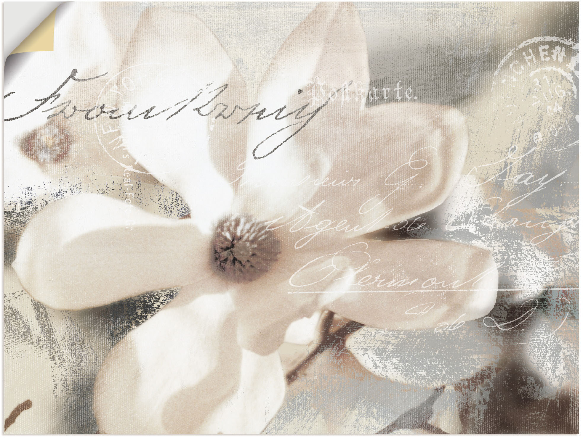 Artland Wandbild »weiße Orchideen auf Ornamenten«, Blumenbilder, (1 St.),  als Alubild, Leinwandbild, Wandaufkleber oder Poster in versch. Größen auf  Raten bestellen
