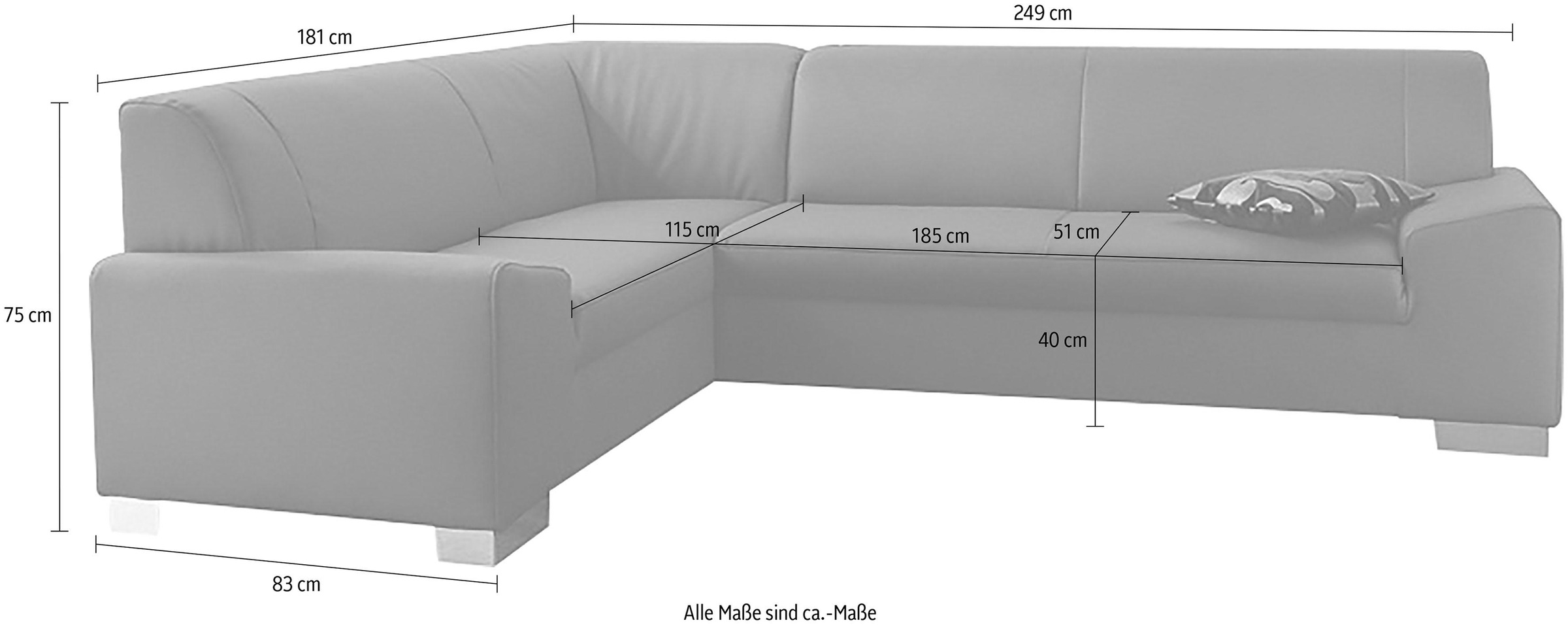 DOMO collection Ecksofa »Alisson, zeitlose Optik, flache Armlehnen, L-Form«, fester Sitzkomfort, wahlweise mit Bettfunktion