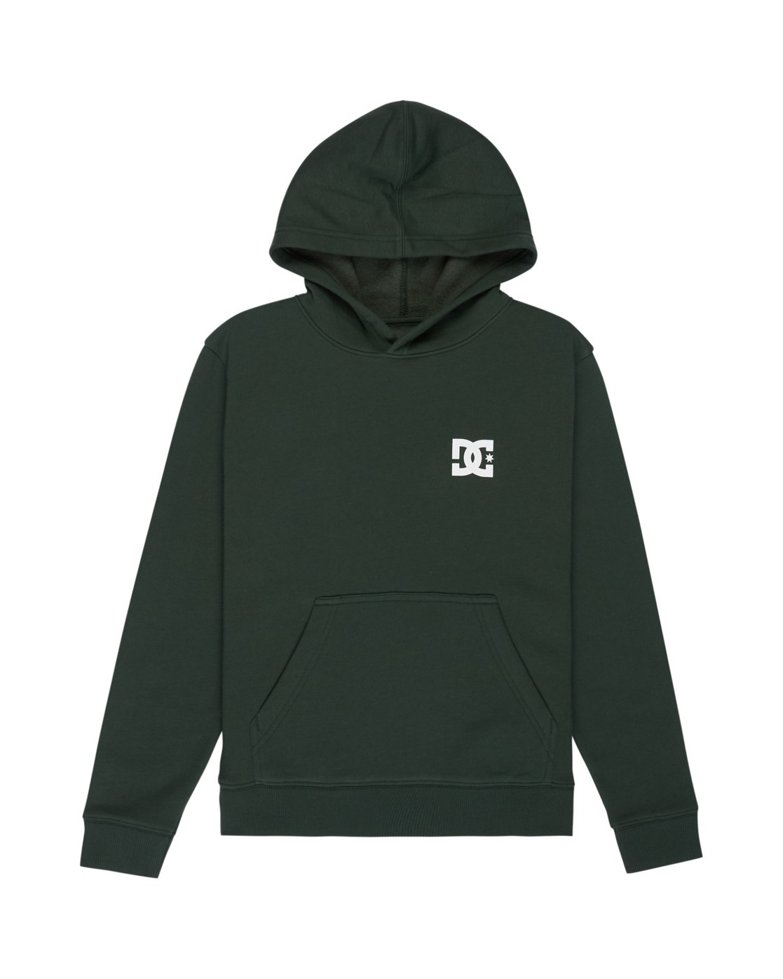 DC Shoes Hoodie »Pushing Forward«
