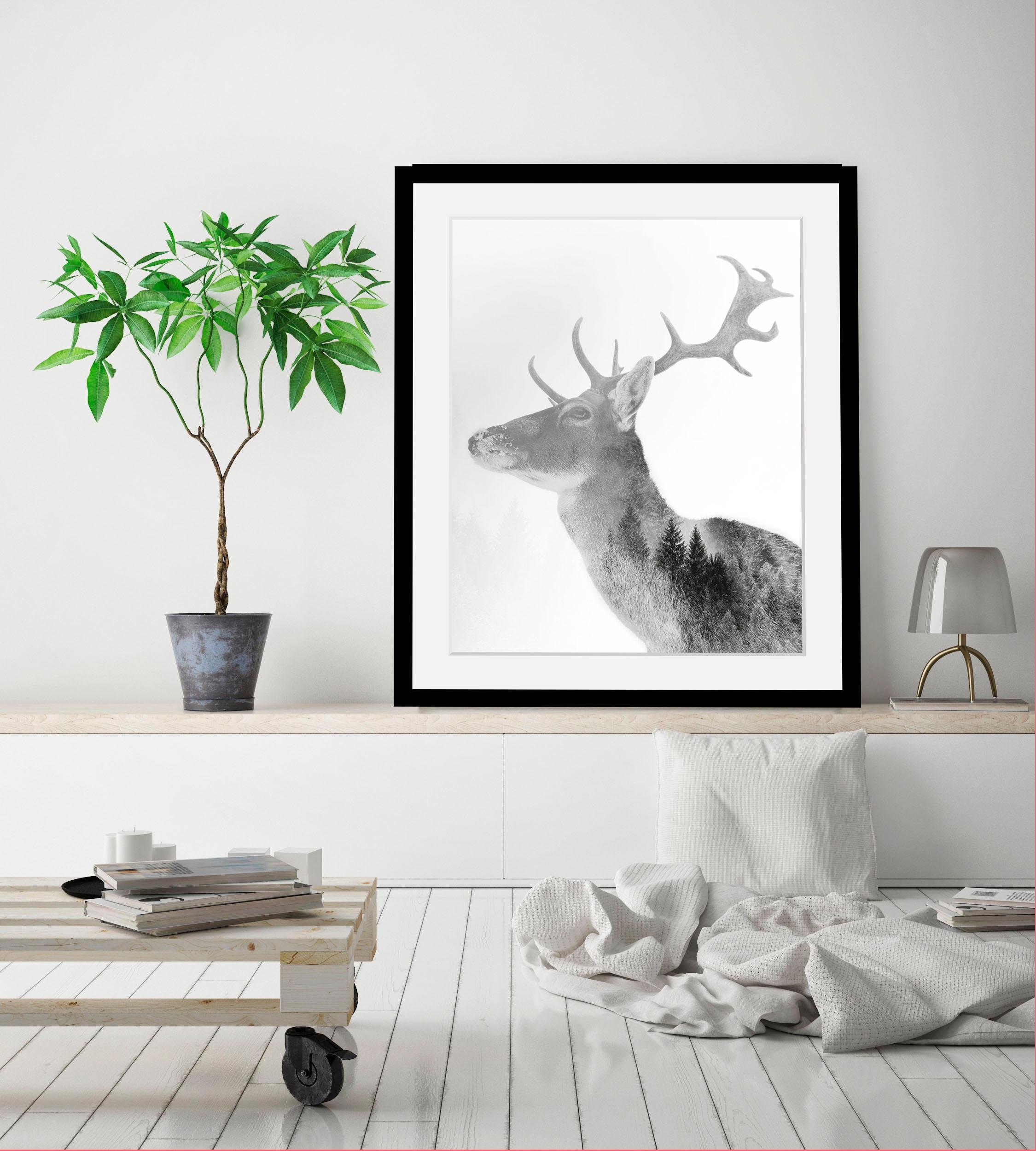 queence Bild »Hirsch« Hirsch | Hirschbilder | Schwarz-Weiß | Tiere | Wald | Waldbilder | Wildtiere HD Premium Poster-Druck inkl. Holzrahmen