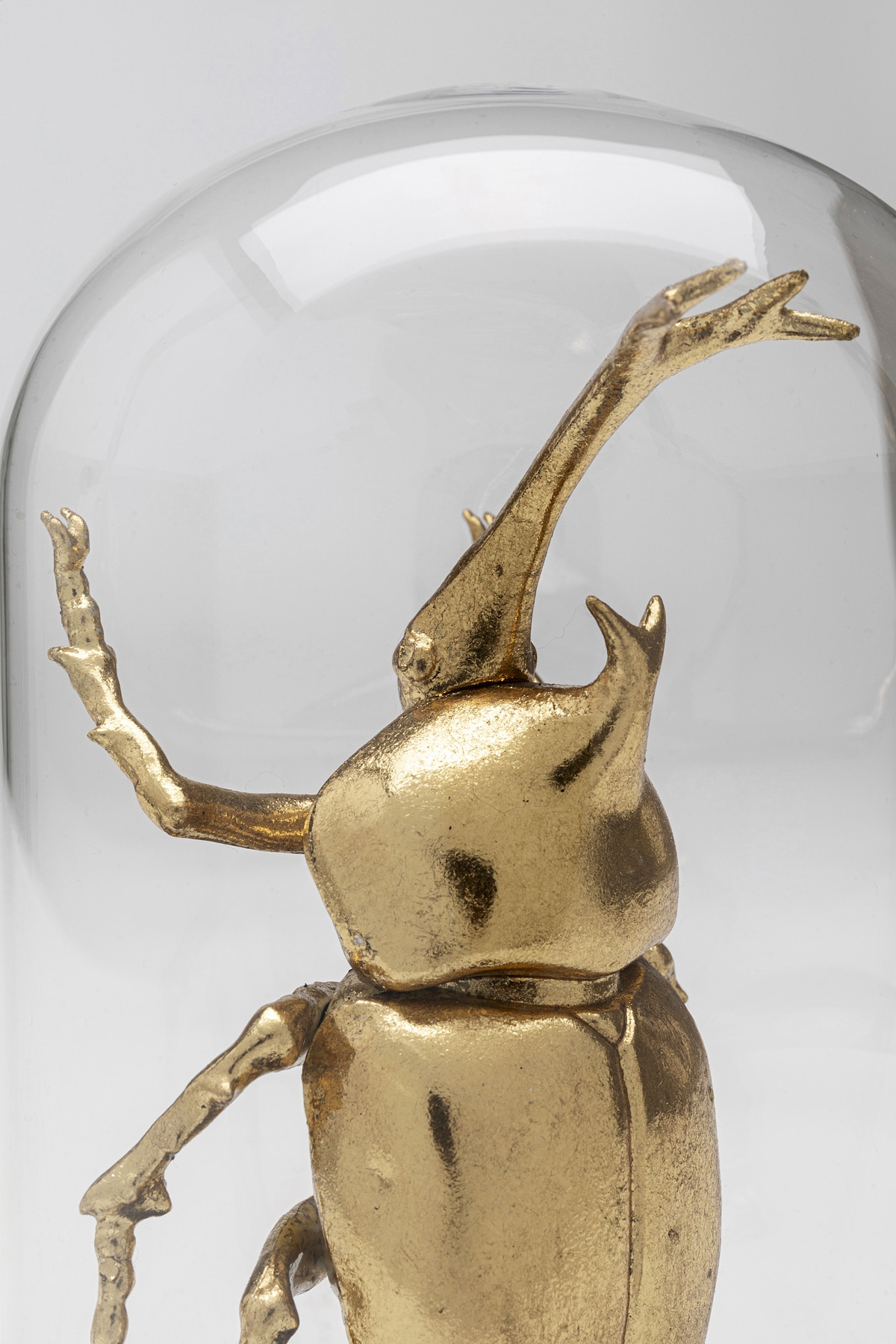 Kare Design Dekoobjekt »Stag Beetle 20cm«