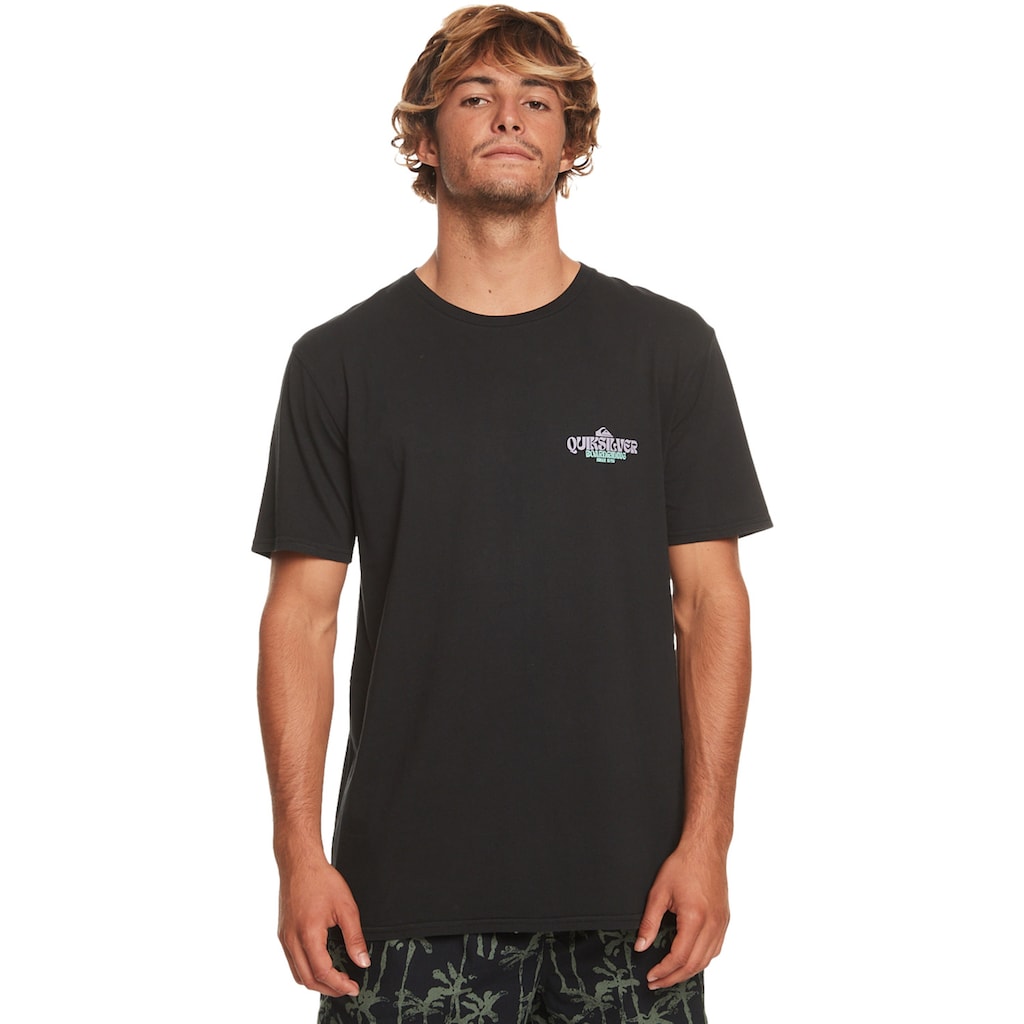 Quiksilver T-Shirt »Bold Move«