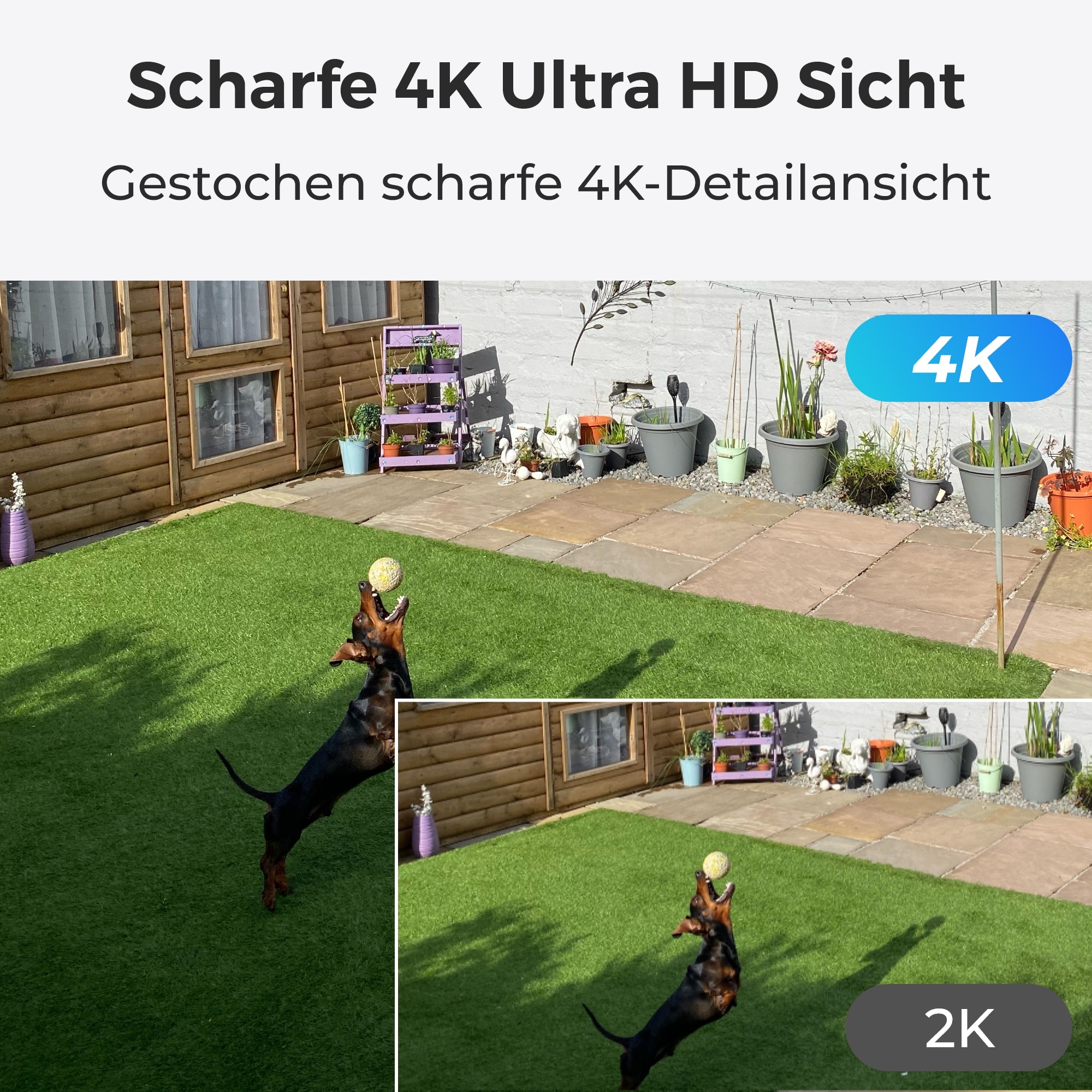 Reolink Überwachungskamera »P330«, Außenbereich-Innenbereich, 4K, Spotlight