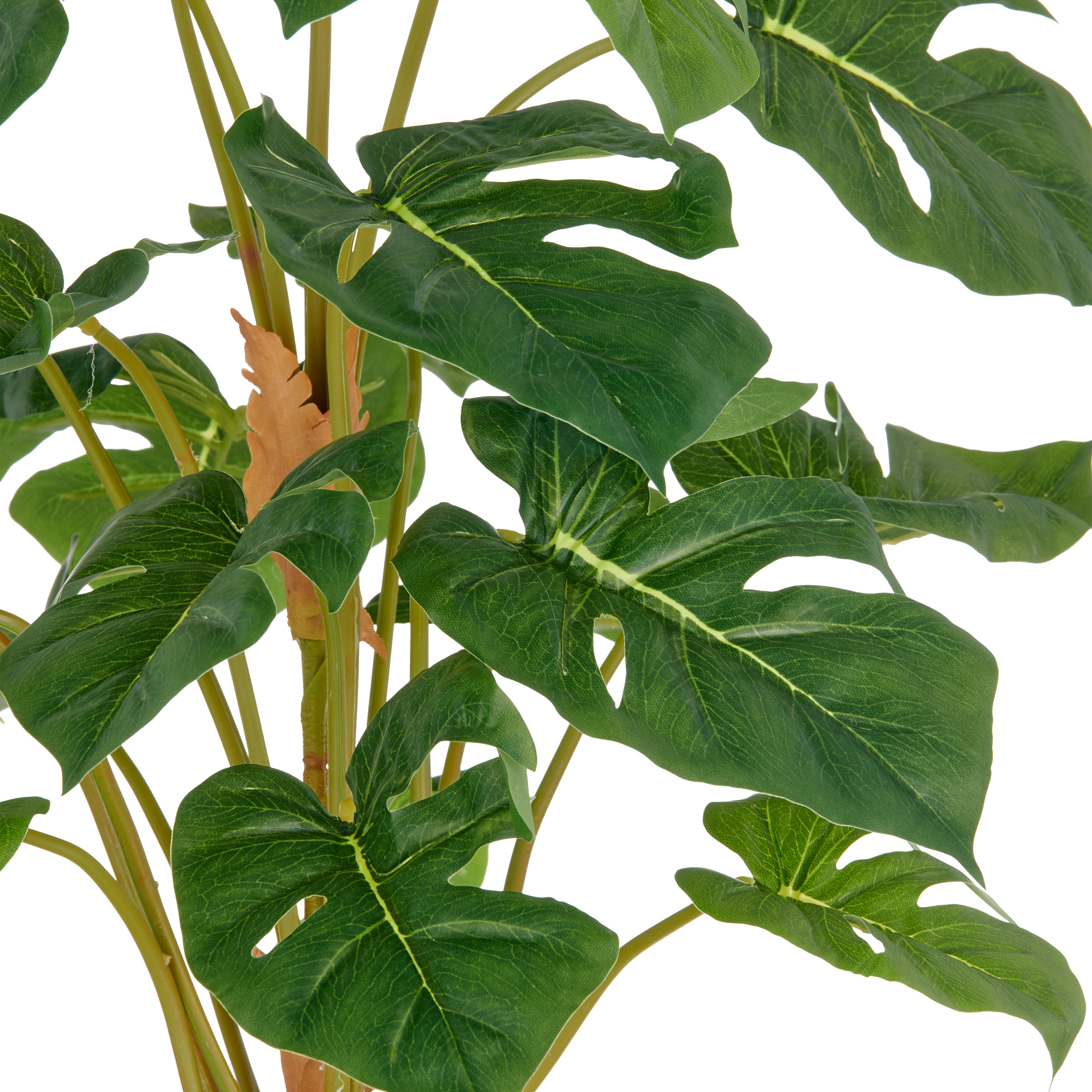 Creativ green Kunstpflanze »Split Philodendron« mit schönem Blattwerk