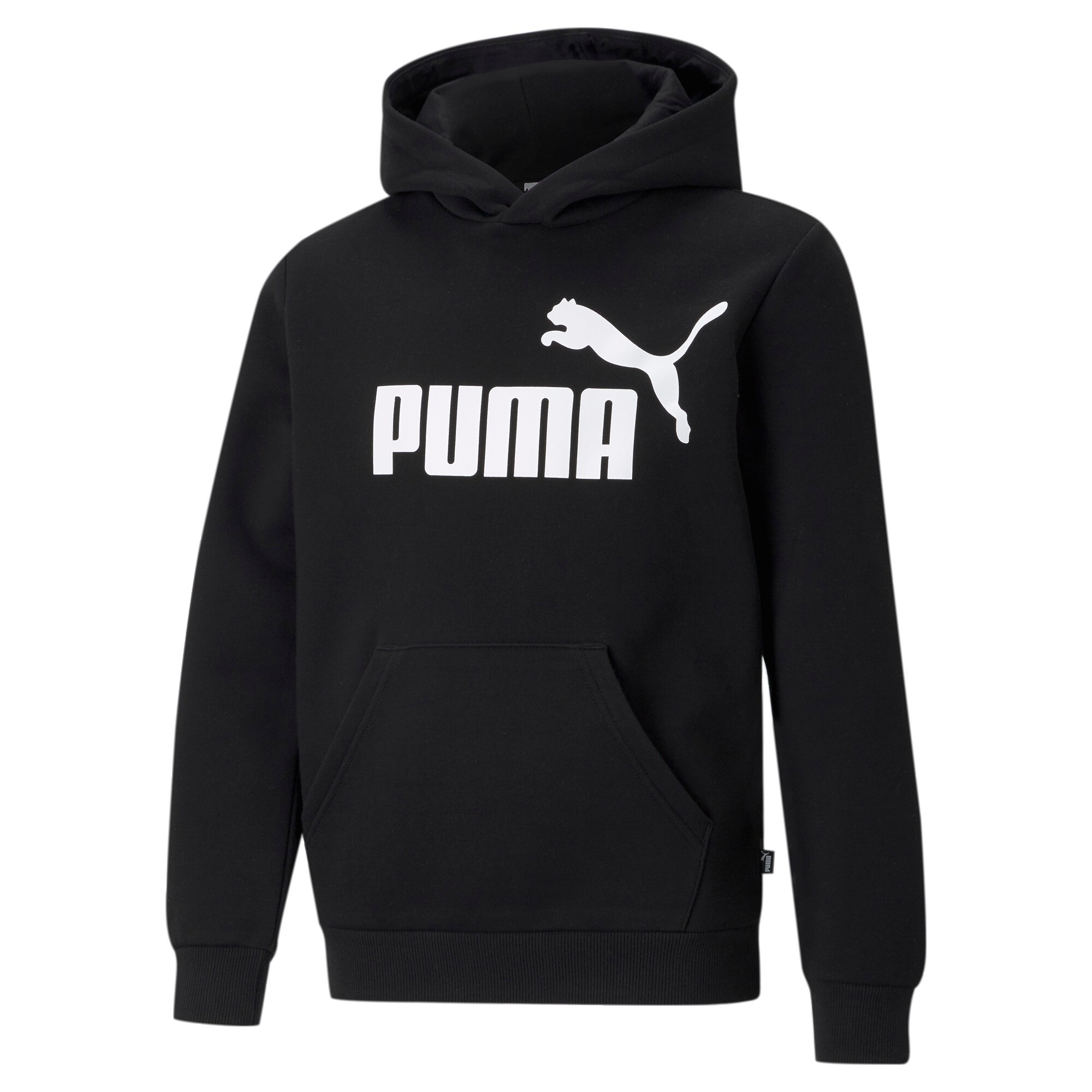PUMA Kapuzensweatshirt »ESS BIG LOGO HOODIE FL B«