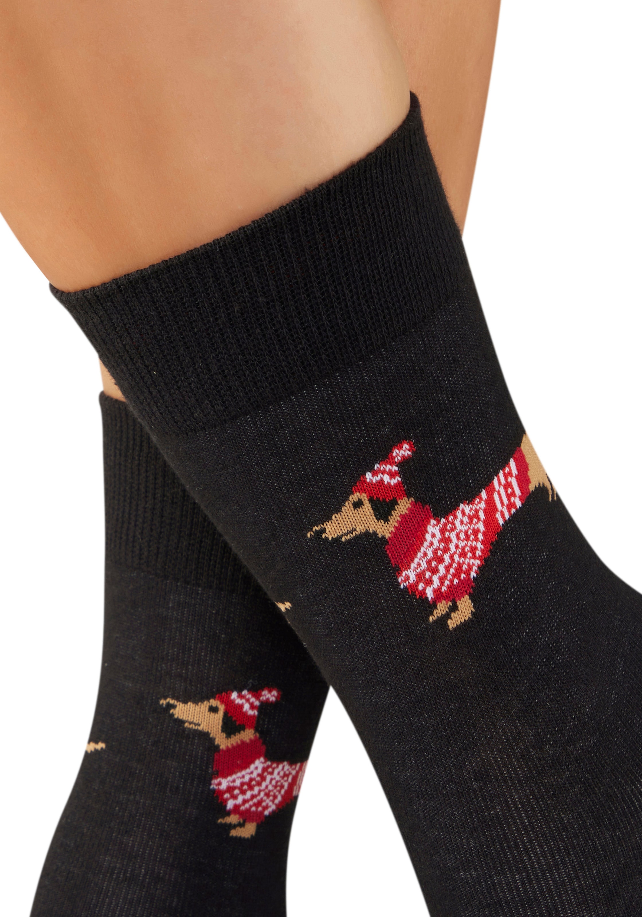 LASCANA Socken Packung, 3 Paar tlg. mit weihnachtlichem Dackelmotiv