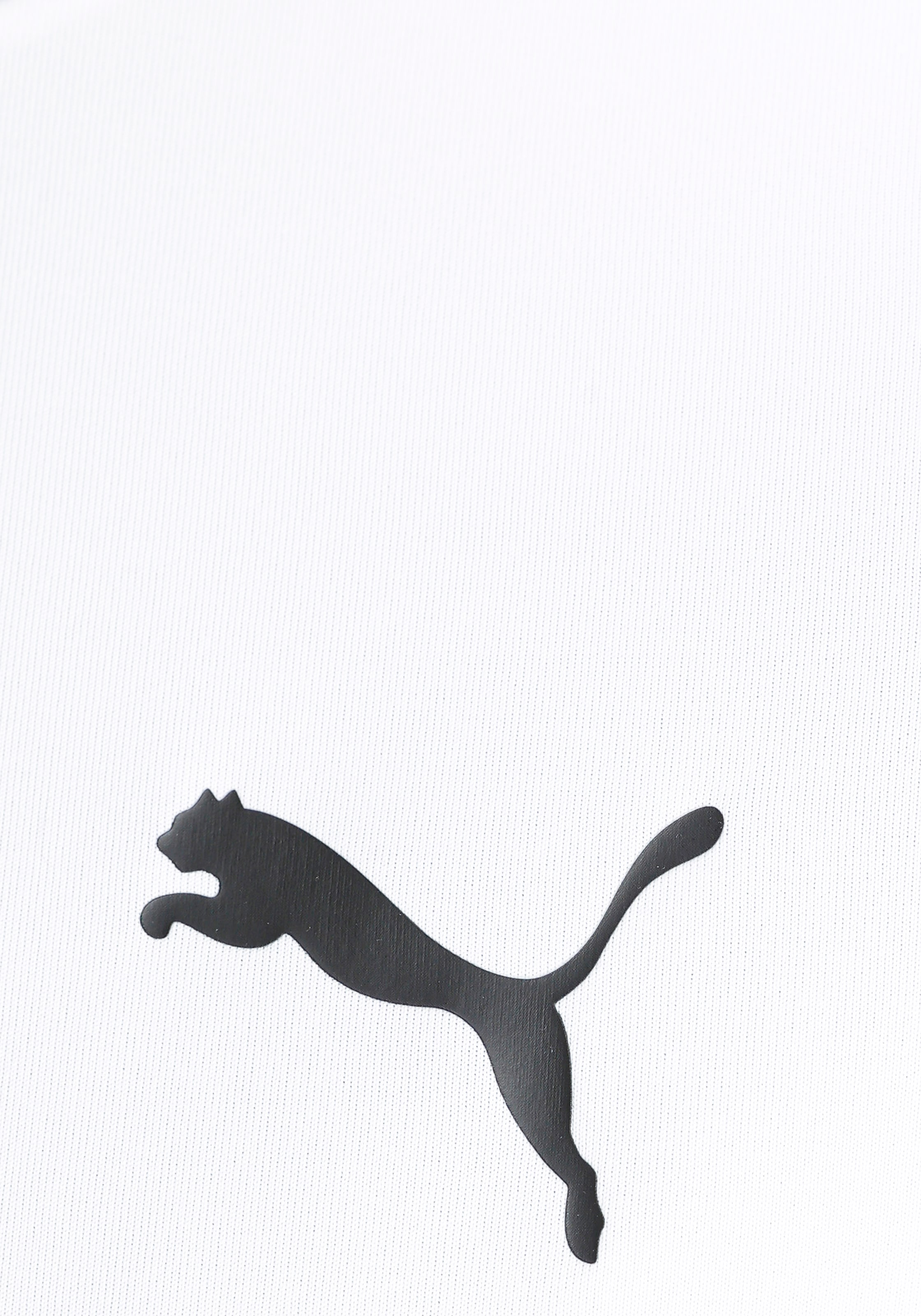 PUMA T-Shirt »ACTIVE SMALL LOGO TEE«