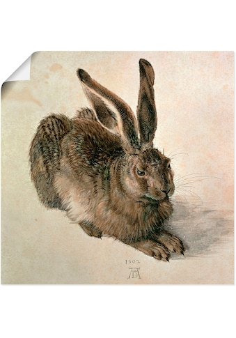 Artland Wandbild »Junger Feldhase. 1502«, Wildtiere, (1 St.), als Leinwandbild,... kaufen
