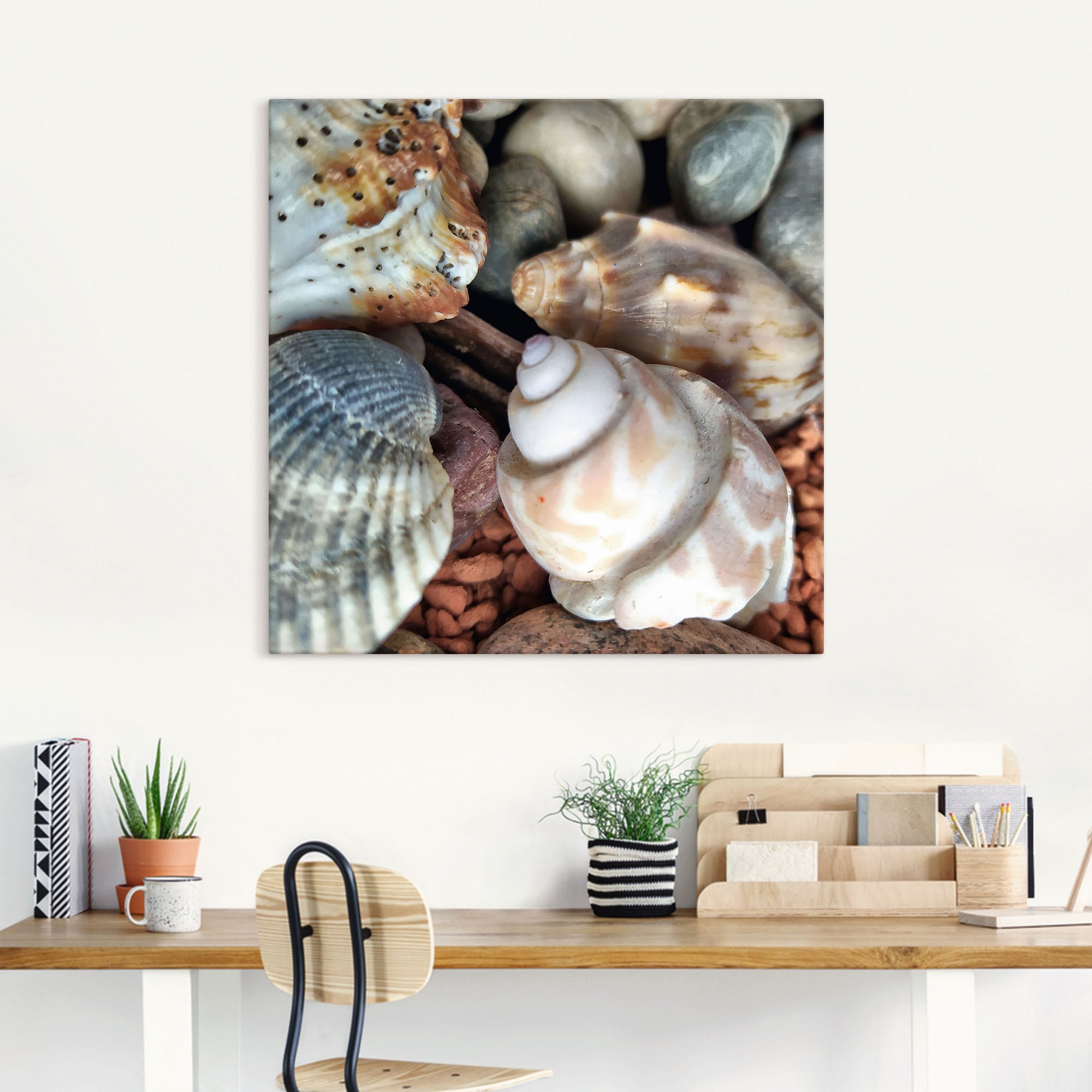 Artland Leinwandbild »Kleine Muschelschätze«, Meer, (1 St.), auf Keilrahmen gespannt