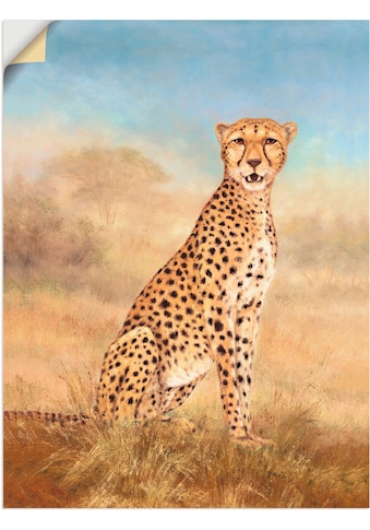 Artland Wandbild »Gepard Savanne«, Wildtiere, (1 St.), in vielen Größen & Produktarten... kaufen