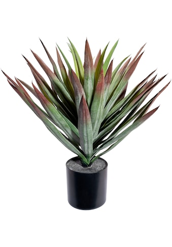 Künstliche Zimmerpflanze »Yucca«