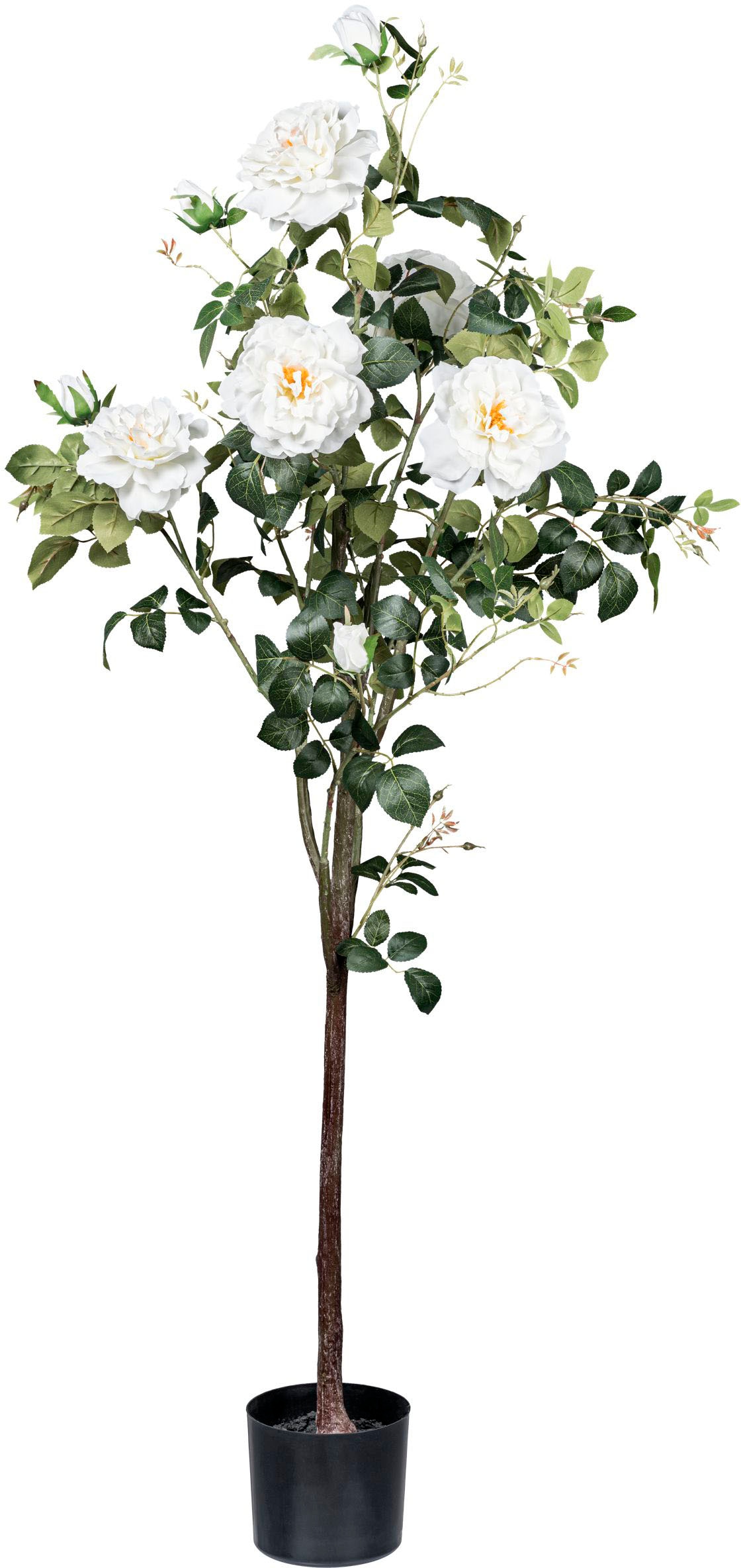 Creativ green Kunstblume »Rosenstock«, mit 5 Blüten und 7 Knospen