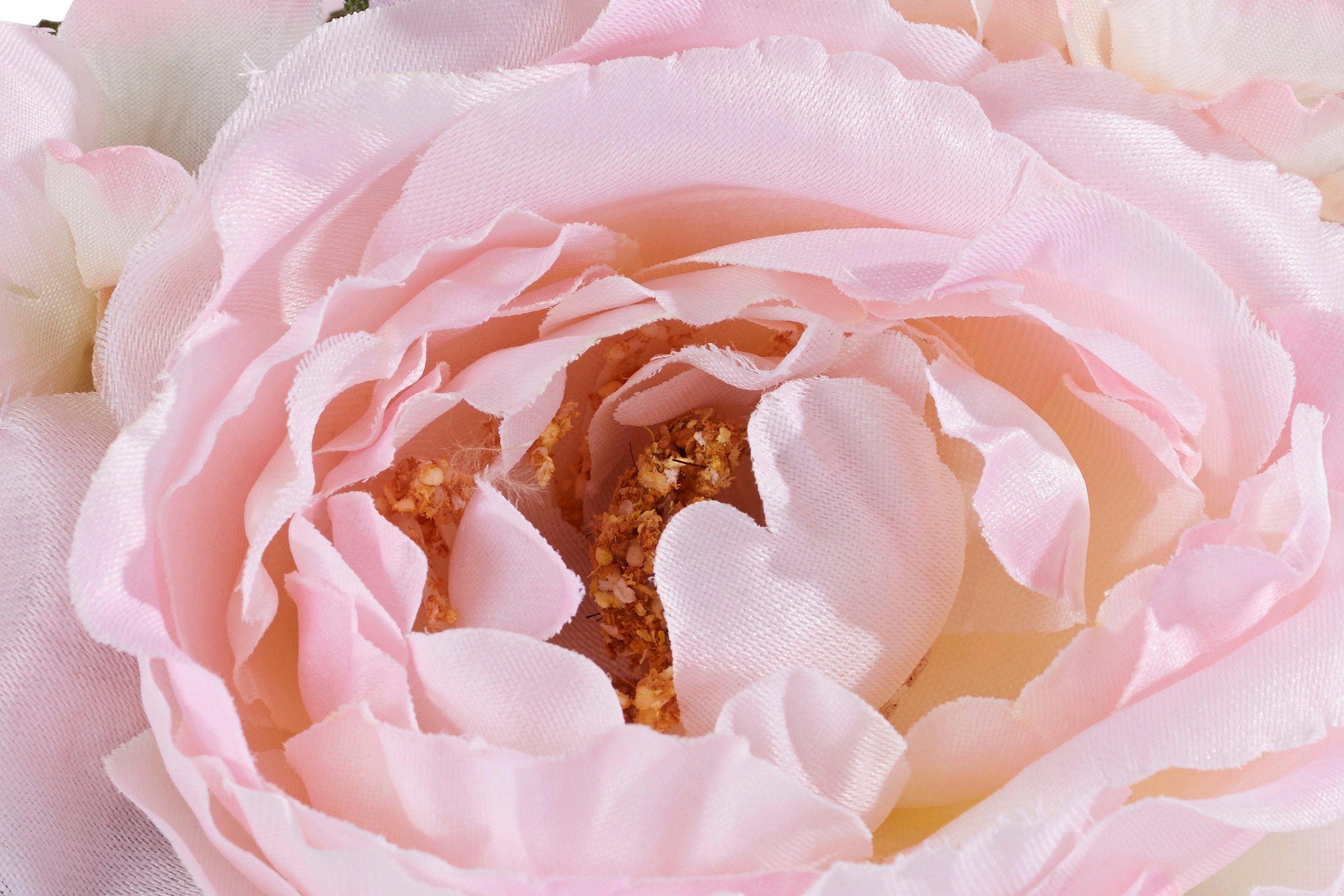 I.GE.A. Kunstpflanze »Rosen online im XXL 3 Glas« Jahren mit Garantie kaufen 