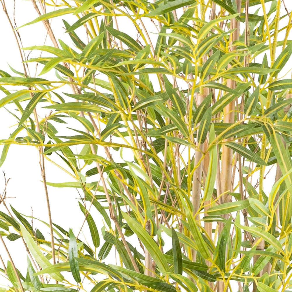 Creativ green Kunstbambus »Bambus«, mit Naturstamm