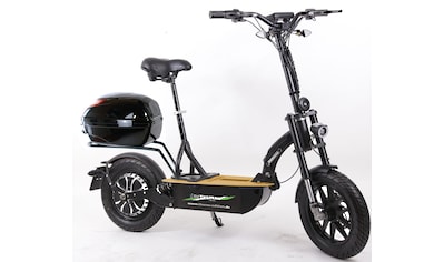 Forca E-Scooter »Elektroroller "Eco-Tourer" 20 km/h Safety Plus«, 20 km/h, 45 km kaufen