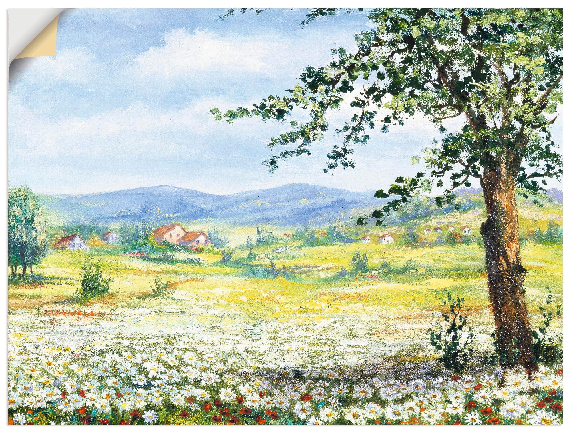 Artland Wandbild »Margeritenfeld«, Wiesen & Bäume, (1 St.), als Poster, Wandaufkleber in verschied. Größen