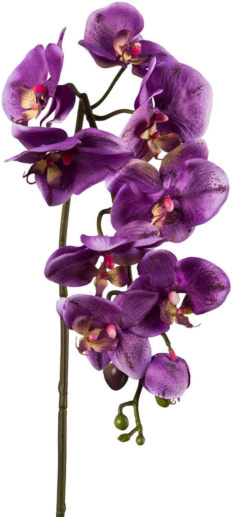 Creativ green Kunstpflanze 3er Set