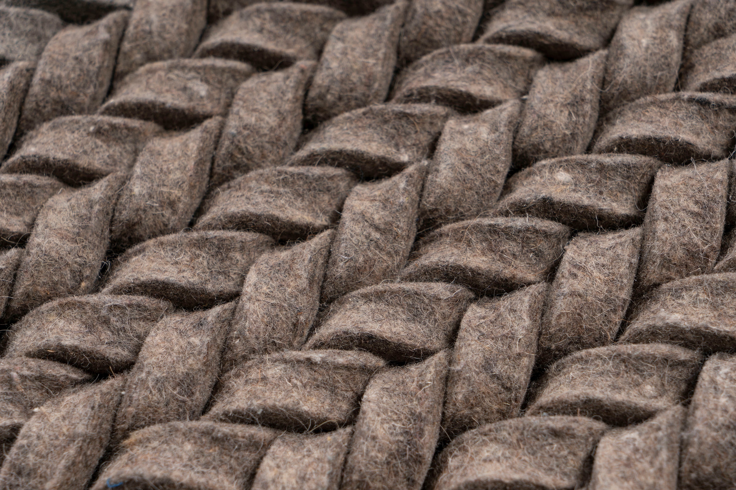 Padiro Teppich »Robbie 125« rechteckig 21 mm Höhe