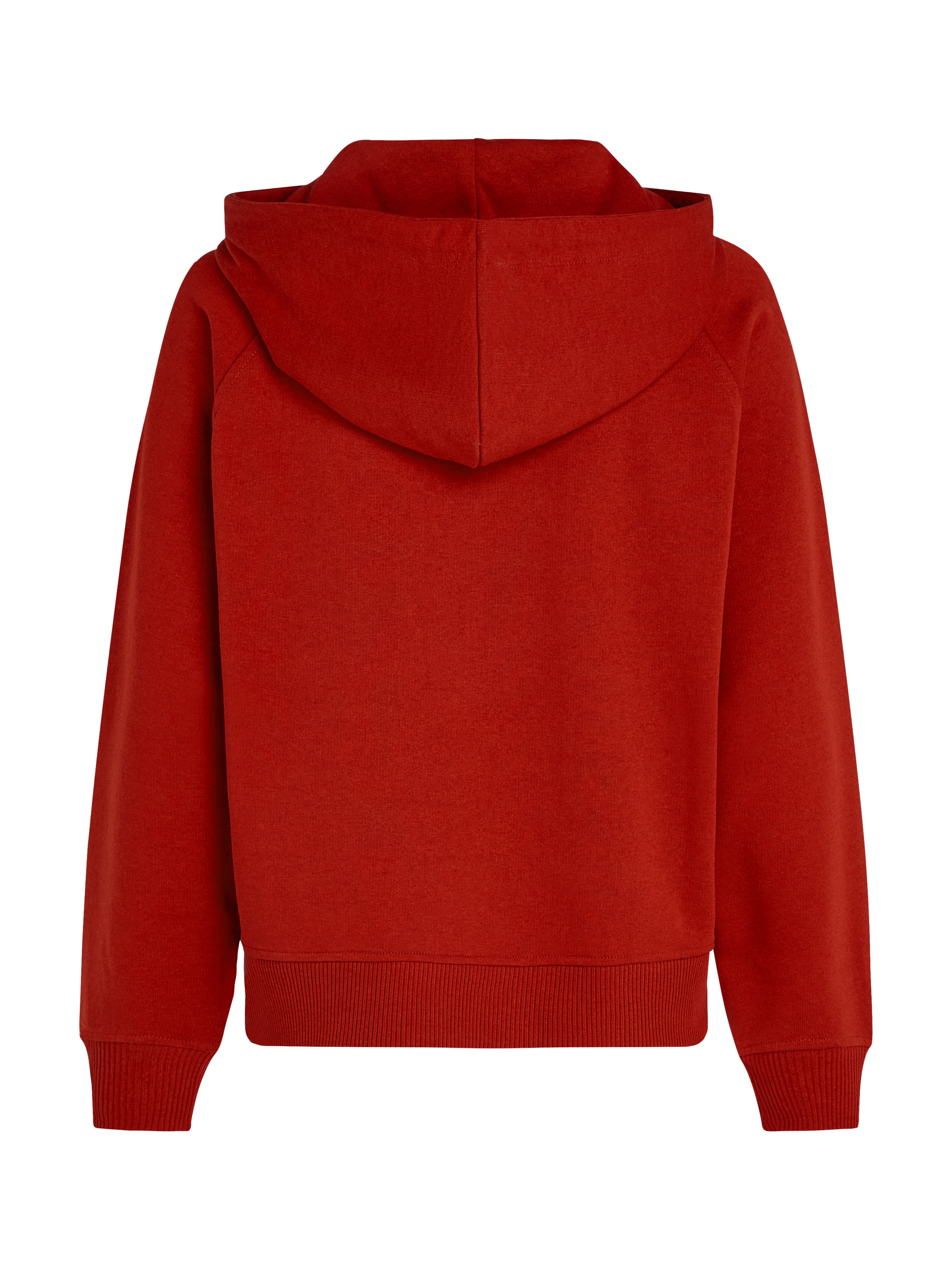 Tommy Hilfiger Kapuzensweatshirt »MDRN REG VARSITY HOODIE«, mit Kapuze
