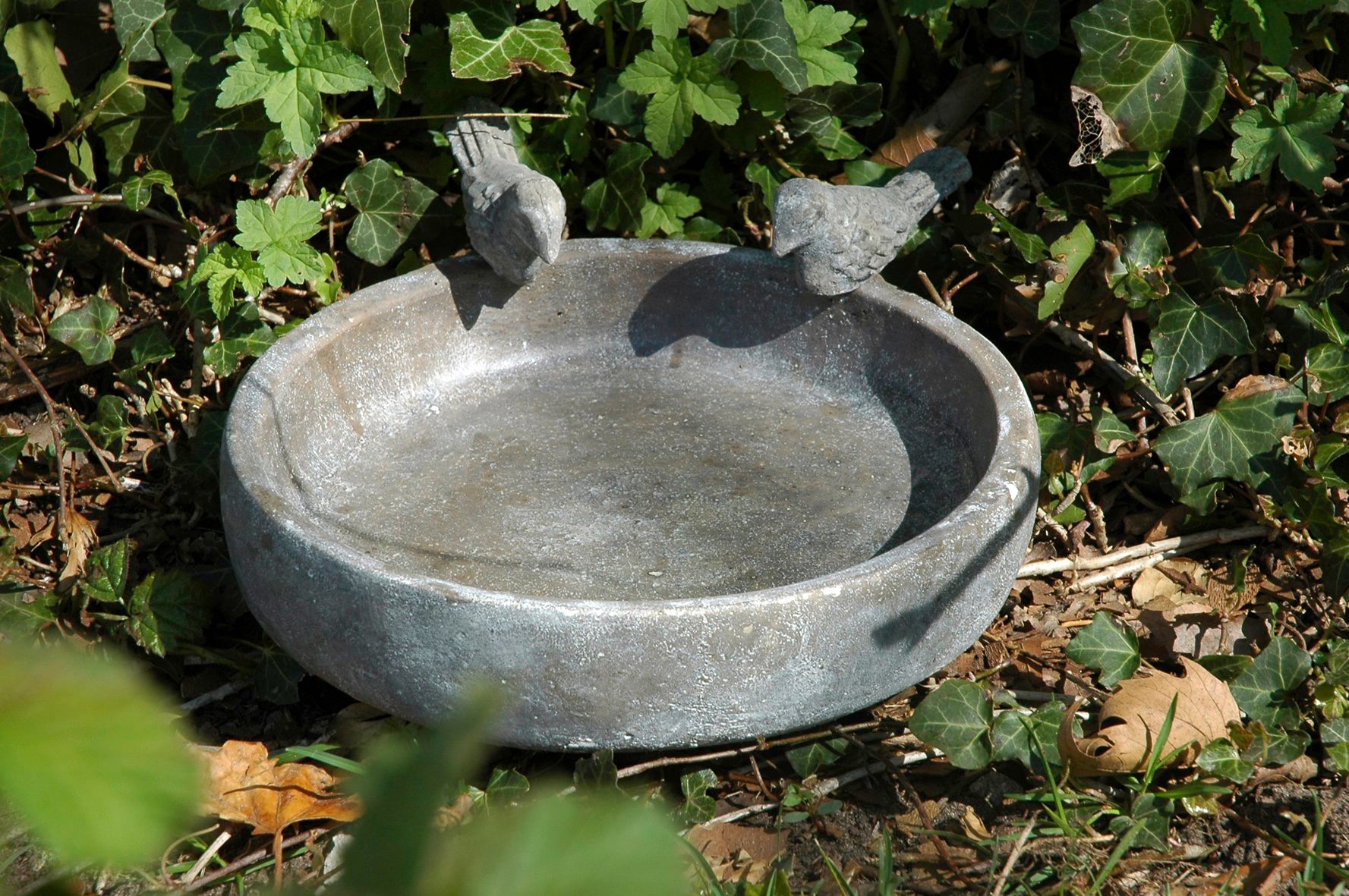 dobar Vogeltränke »Pool-Oase« kaufen