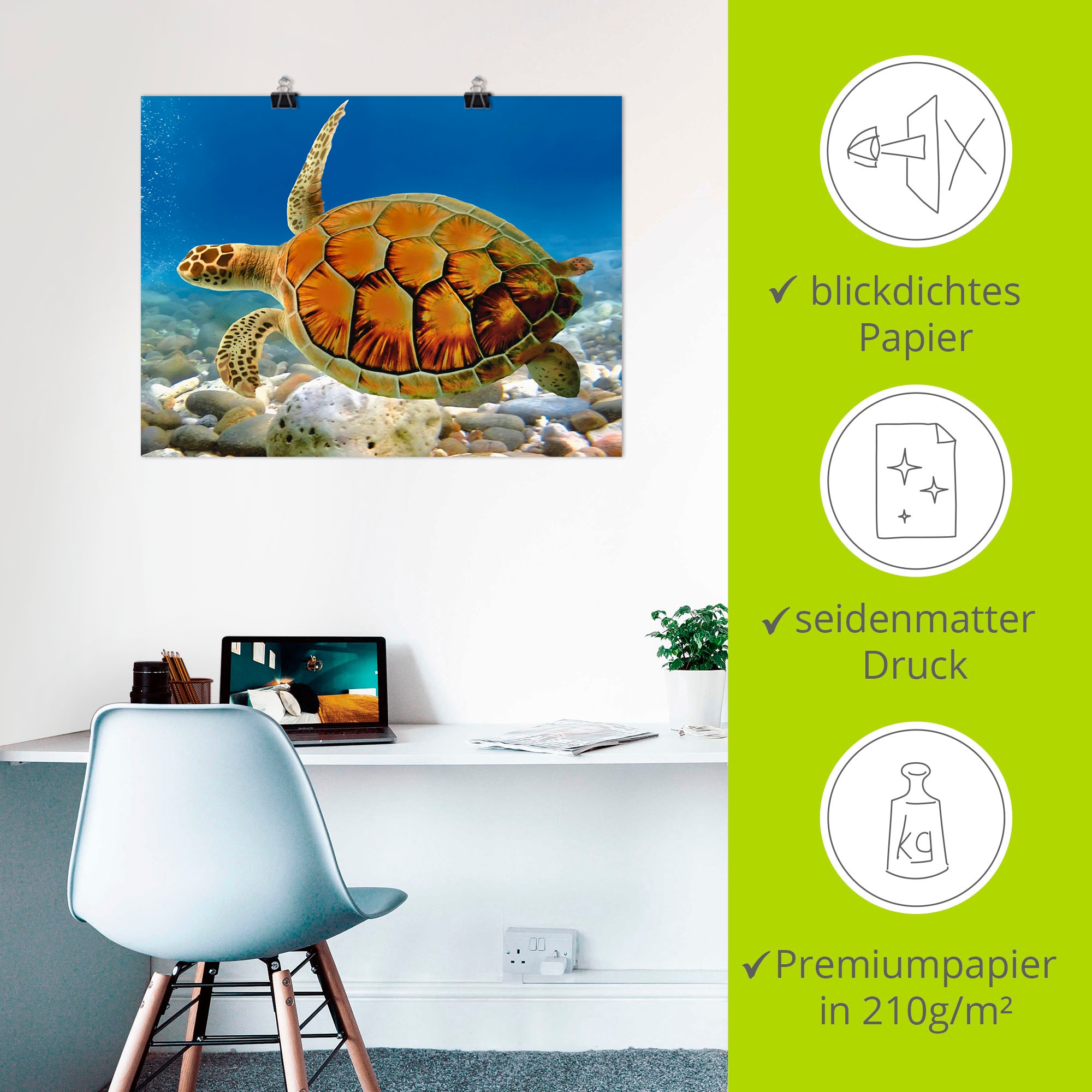 Artland Wandbild »Schildkröte«, Wassertiere, (1 St.), als Leinwandbild, Poster, Wandaufkleber in verschied. Größen