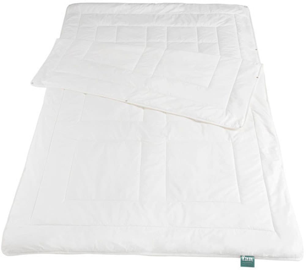 f.a.n. Schlafkomfort Baumwollbettdecke »African Cotton«, leicht, (1 St.),  Bettdecke in 135x200 oder 155x220 cm, Winter oder Sommer online kaufen
