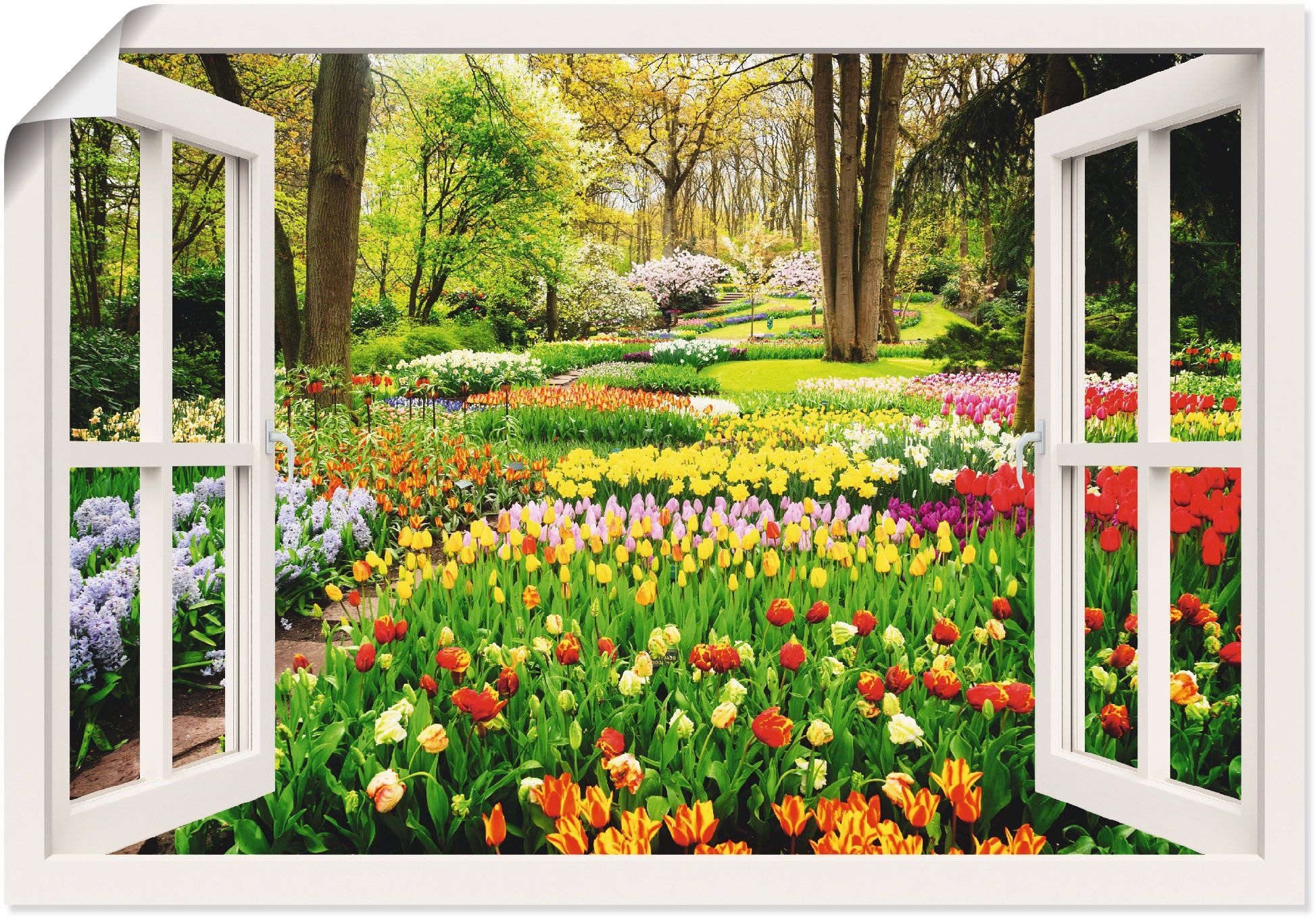 Artland Wandbild »Fensterblick Tulpen Garten Frühling«, Fensterblick, (1 St.)  bequem bestellen