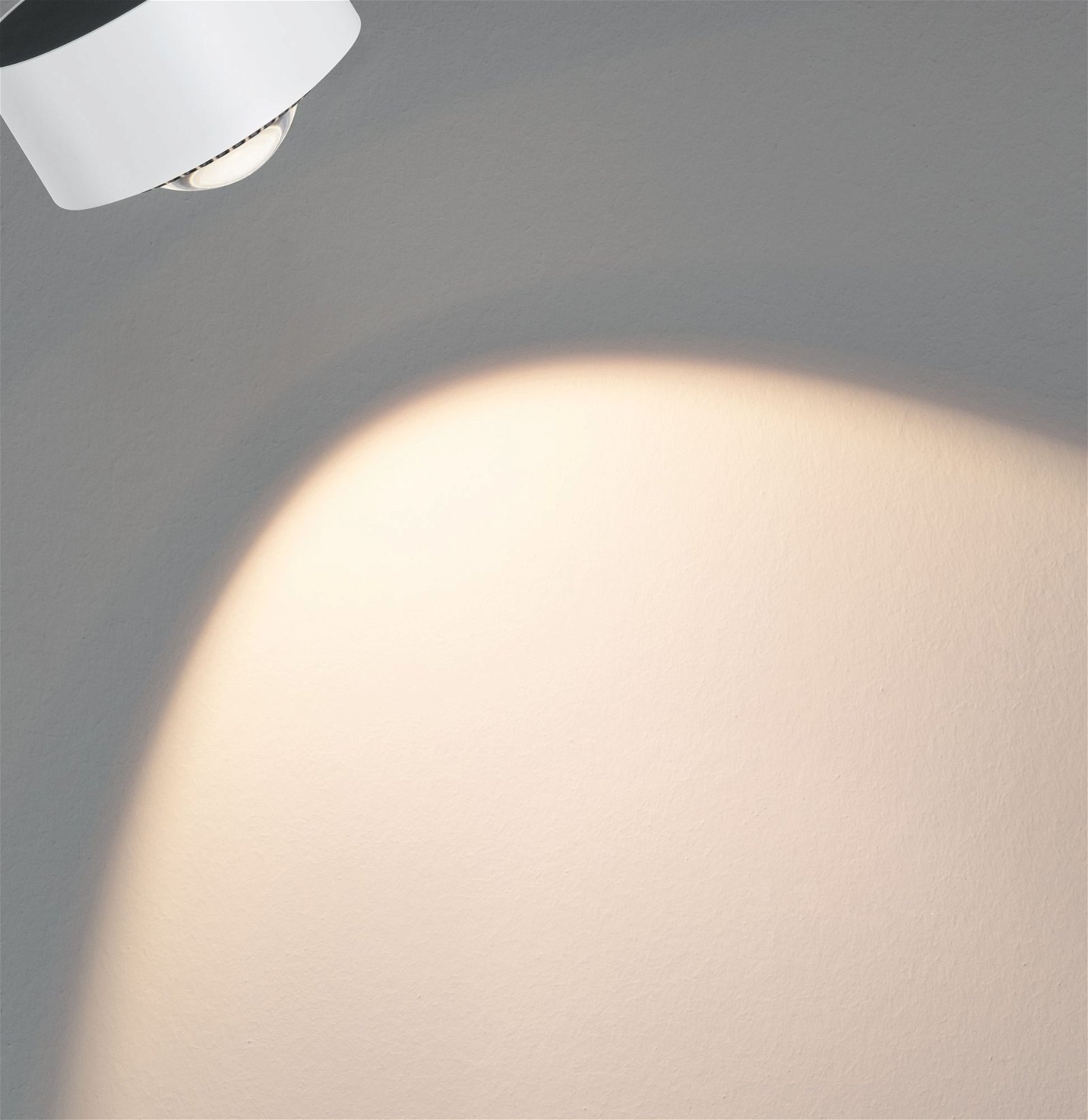 Paulmann Schienensystem-Leuchten »URail Schienenspot Aldan Einzelspot 498lm 8W 2700K 230V Weiß, Schwarz« LED-Modul 1 Stk. Warmweiß dimmbar