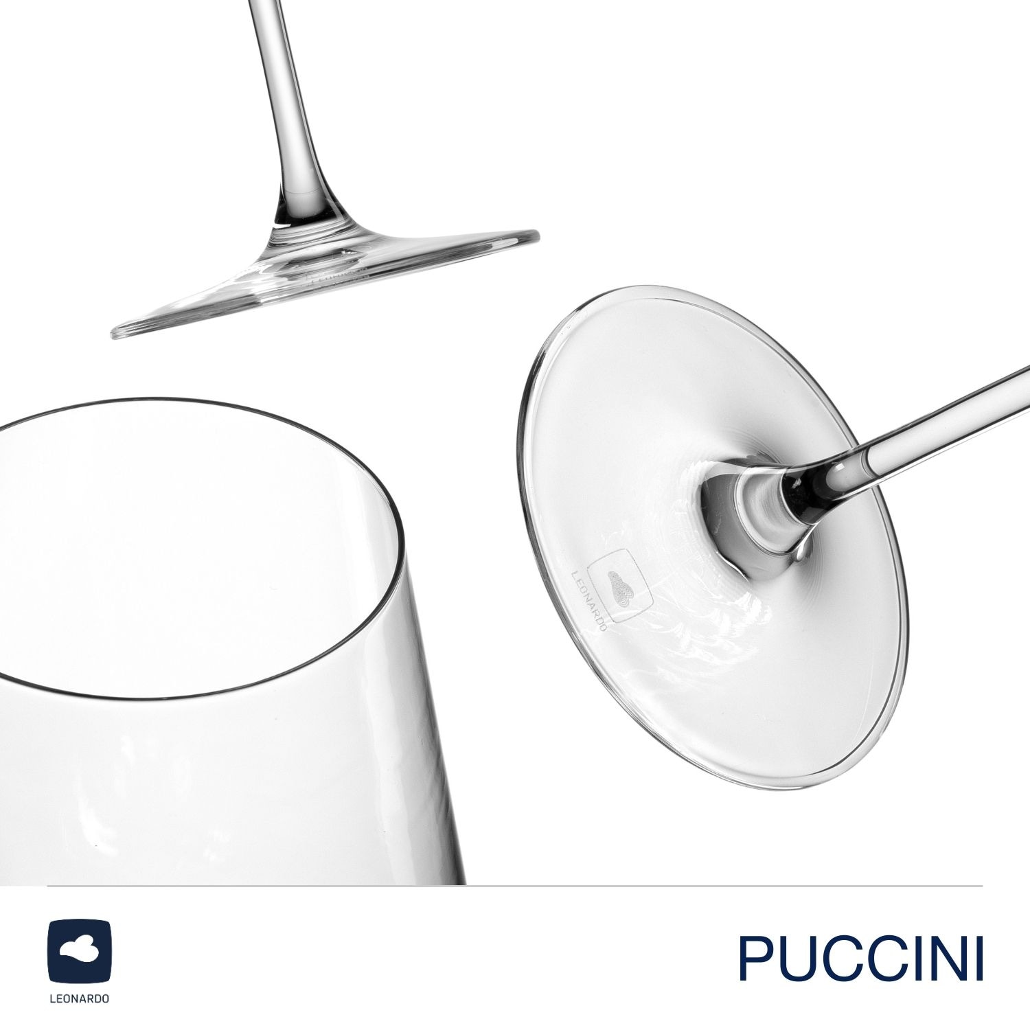 LEONARDO Weißweinglas »Gläser-Set PUCCINI + Poliertuch, 7-teilig« 6 Weisswein Gläser, 560 ml, mit Poliertuch