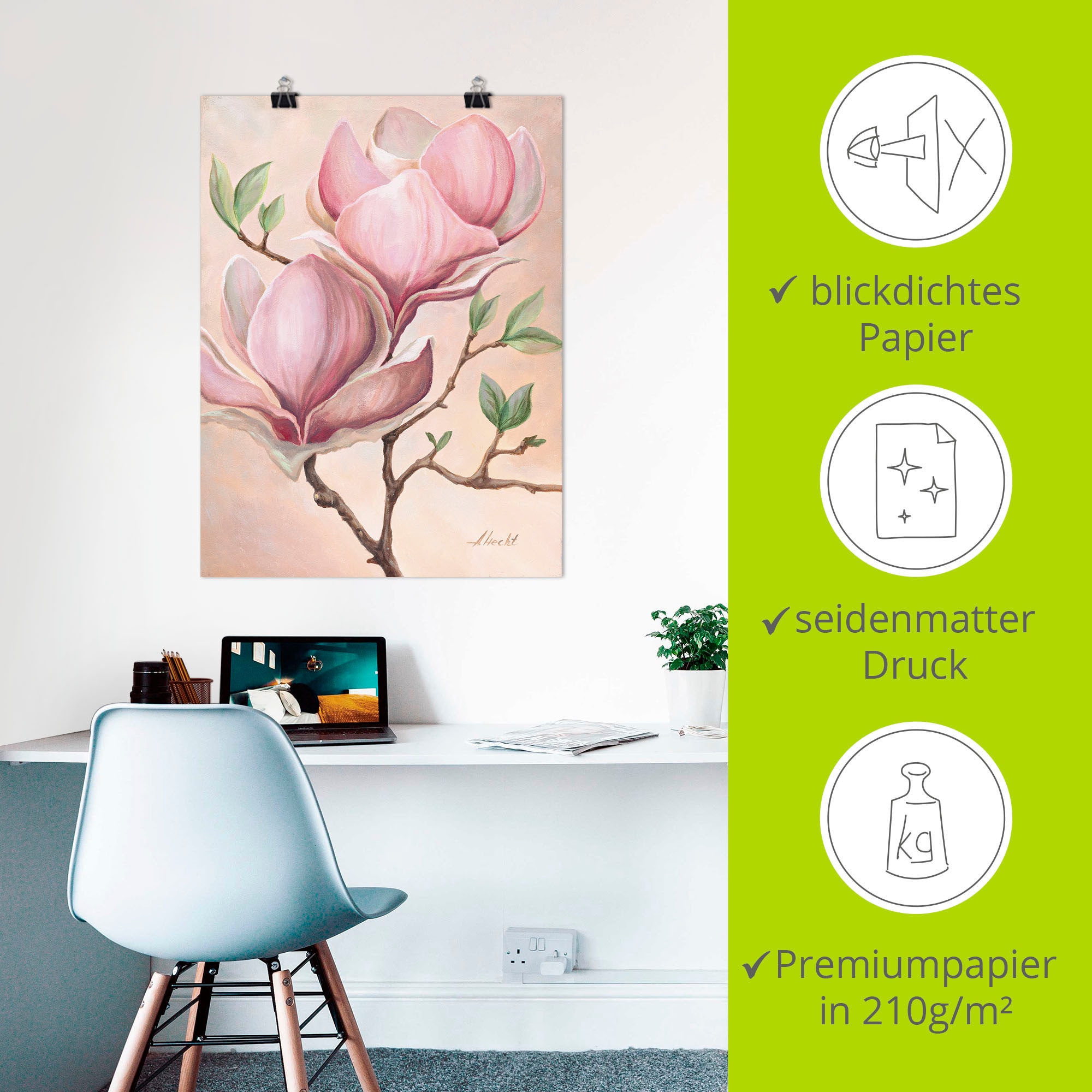 Artland Wandbild »Magnolienblüten« Blumen 1 Stk. tlg. als Leinwandbild, Poster in verschied. Größen