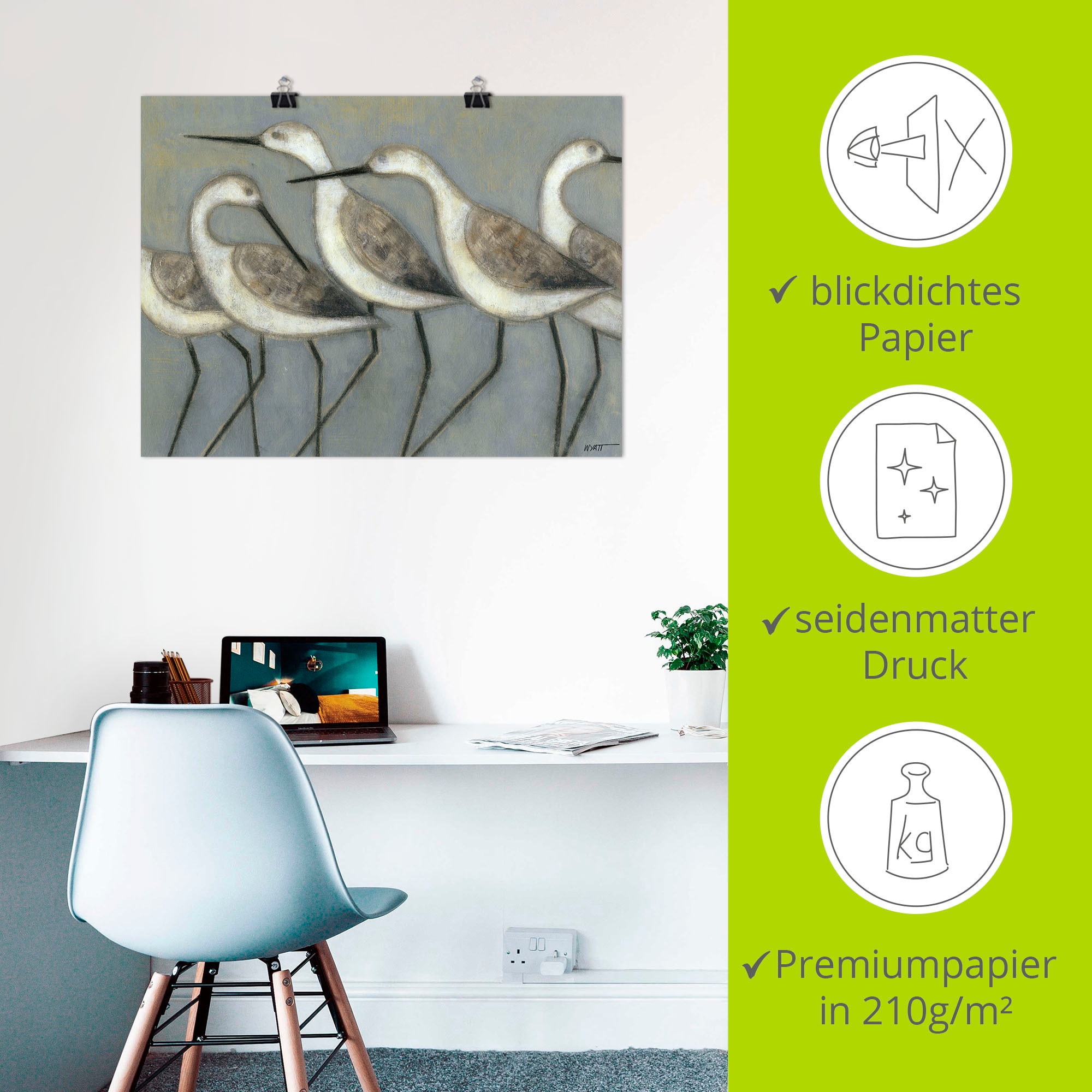 Artland Wandbild »Küstenvögel I« Vögel 1 Stk. tlg. als Leinwandbild, Poster in verschied. Größen