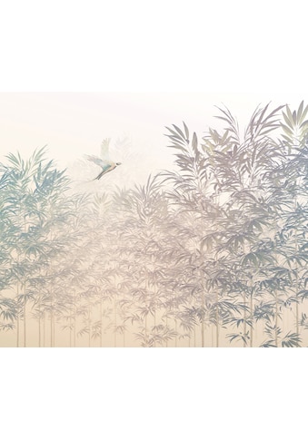Komar Fototapete »Bamboo Paradise«, botanisch-tropisch-Motiv, bedruckt, botanisch,... kaufen