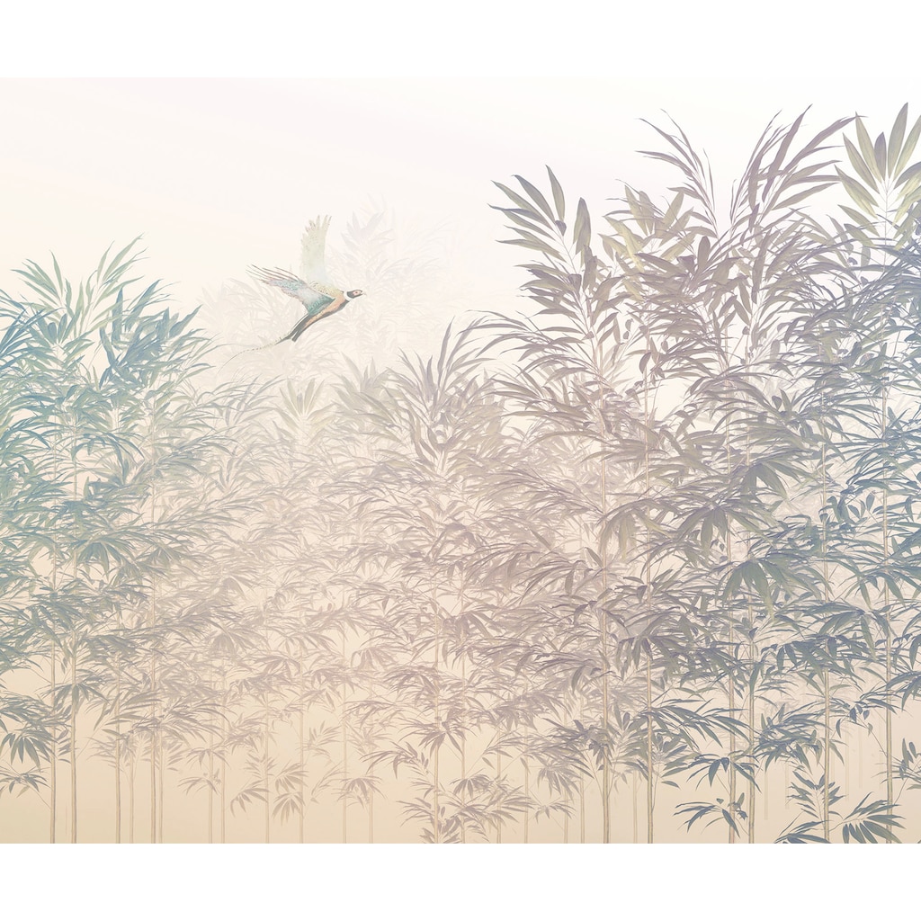 Komar Vliestapete »Bamboo Paradise«