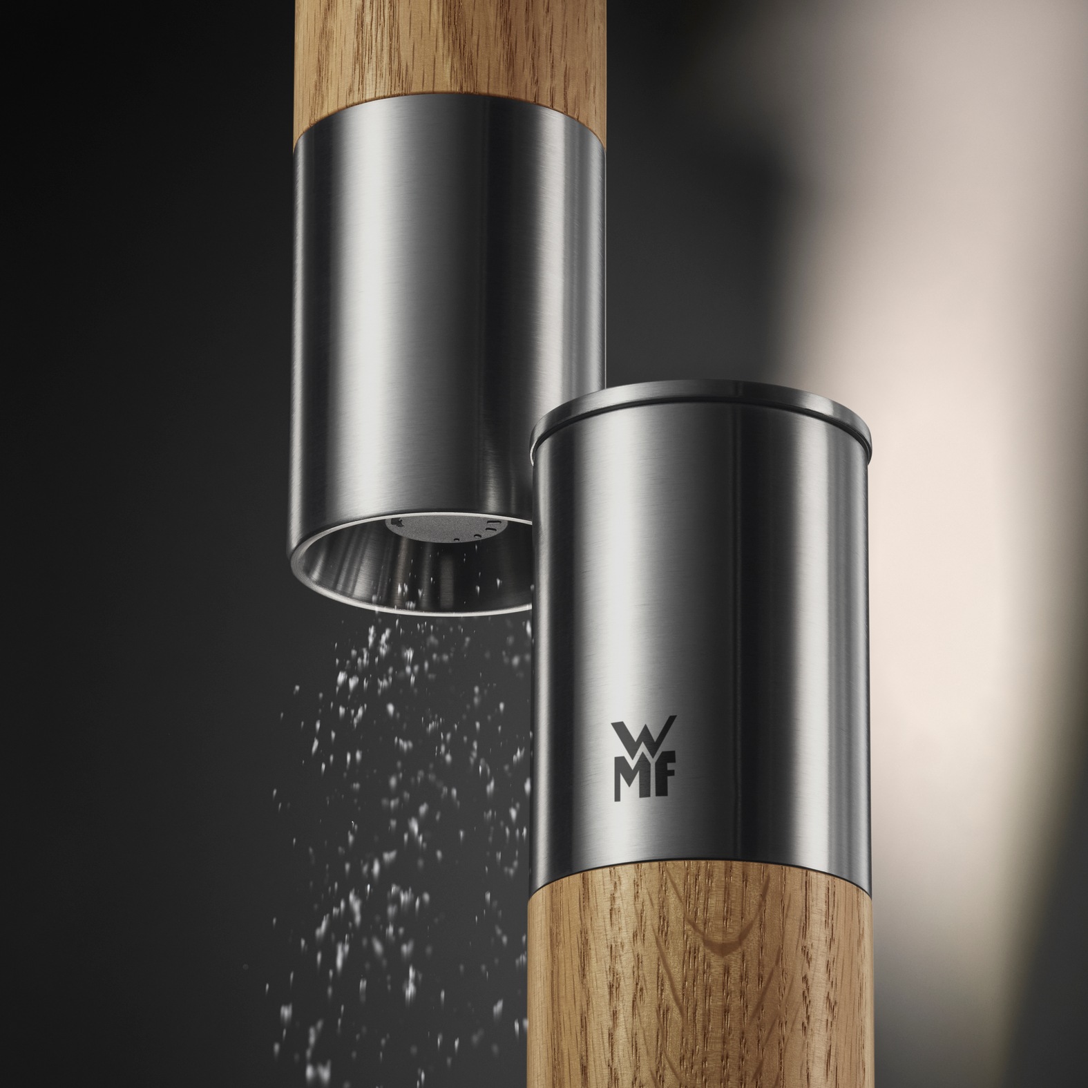 WMF Gewürzmühle »Nature Pro Edelstahl« Keramikmahlwerk, einstellbarer Mahlgrad, Aromaschutzdeckel, Holz