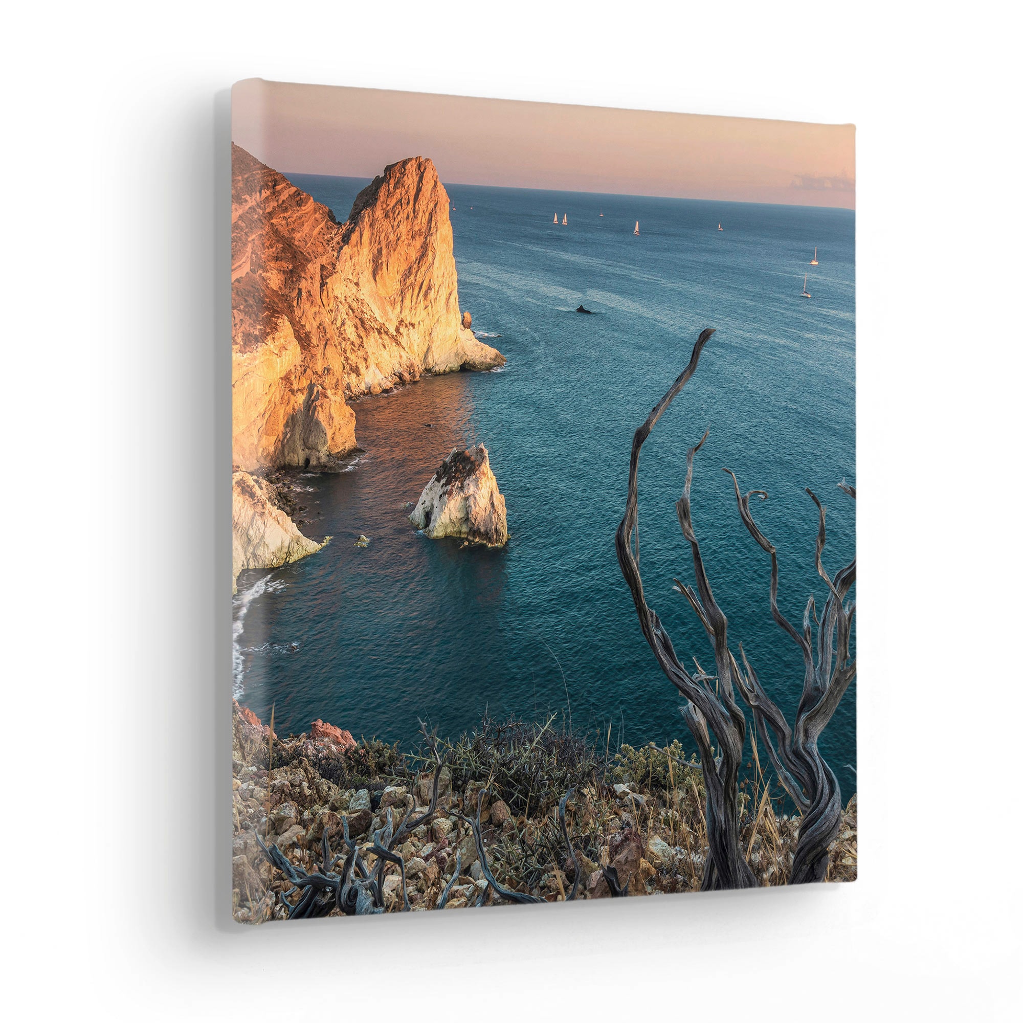 Komar Leinwandbild »Steep Cove«, (Breite 3 | Keilrahmenbild cm St.), online Jahren XXL kaufen (1 Garantie Baum-Natur-Berge-Landschaft-Meer, x 30x30 mit Höhe)