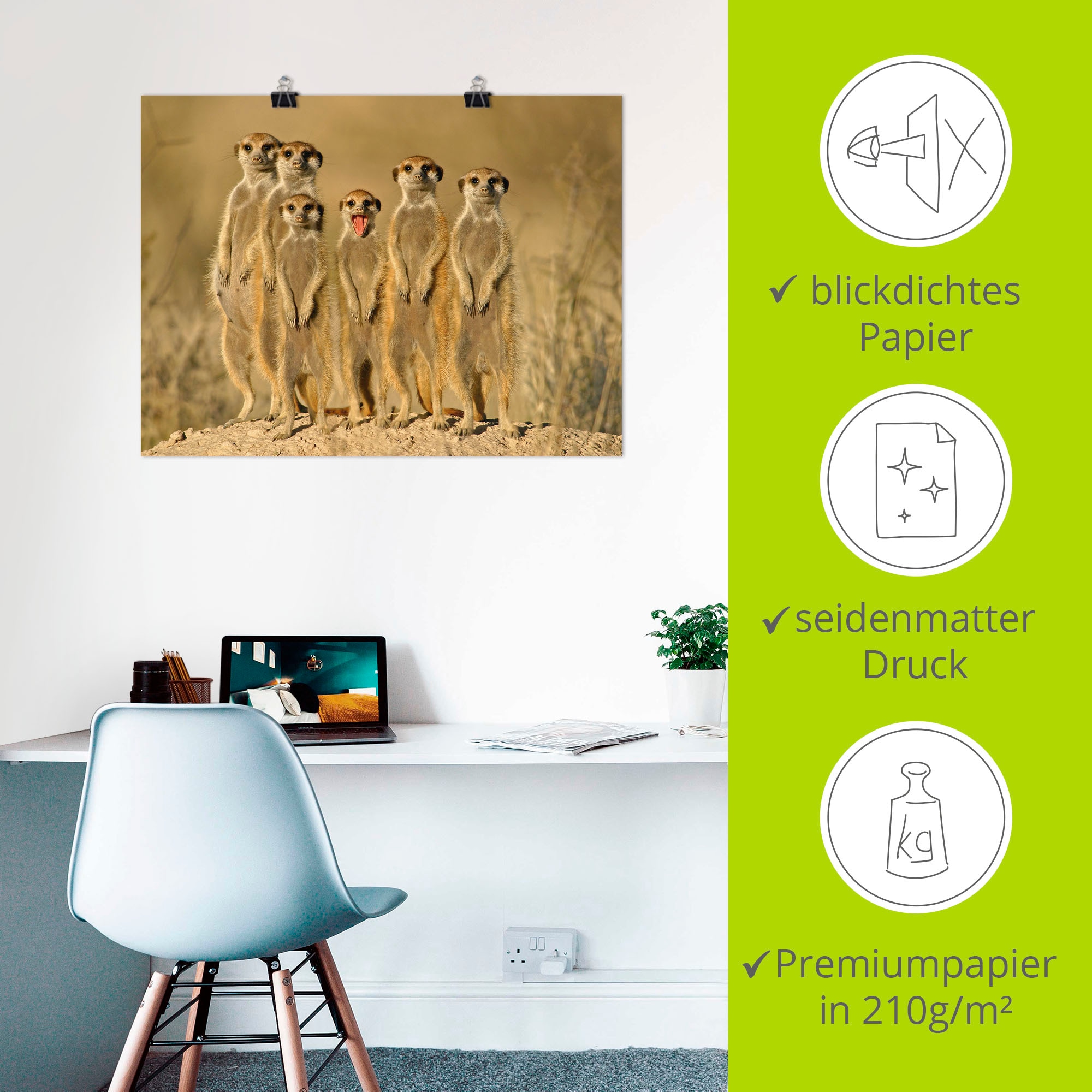Artland Poster »Erdmännchen Familie« Wildtiere 1 Stk. tlg. als Poster in verschied. Größen