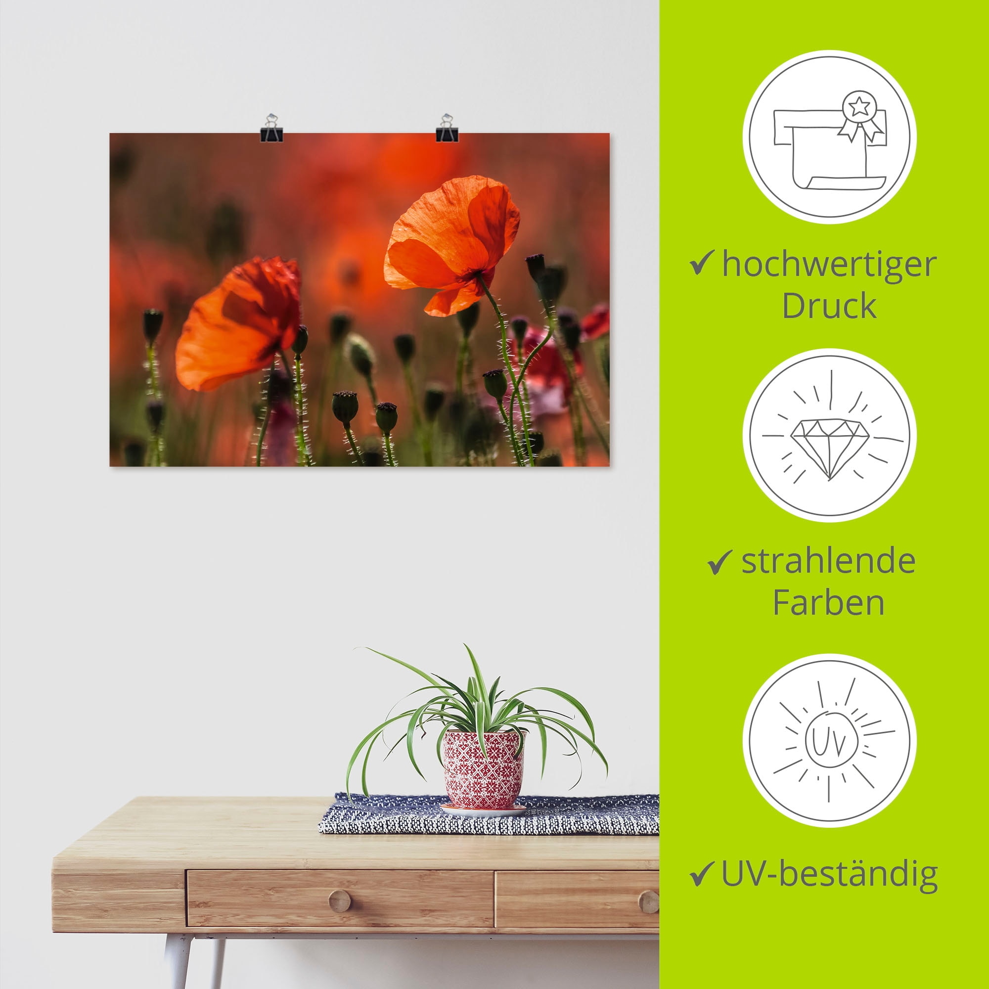 Artland Poster »Rote Mohnblumen in der Provence« Blumenbilder 1 Stk. tlg. ohne Rahmen