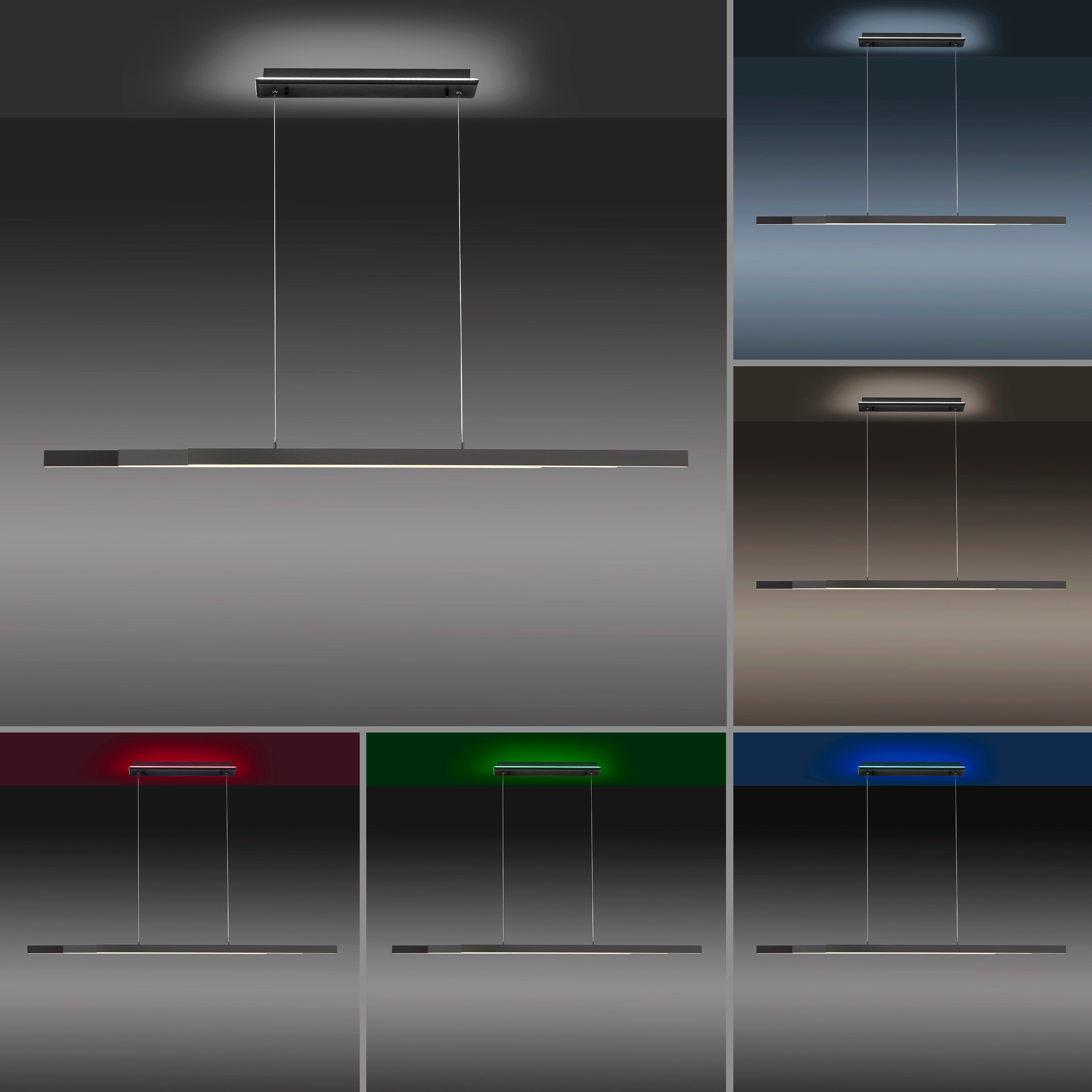 Neuhaus Q SMART HOME LIGHTS LED Pendelleuchte »Q-ARIAN« LED-Board 1 Stk. warmweiß - kaltweiß