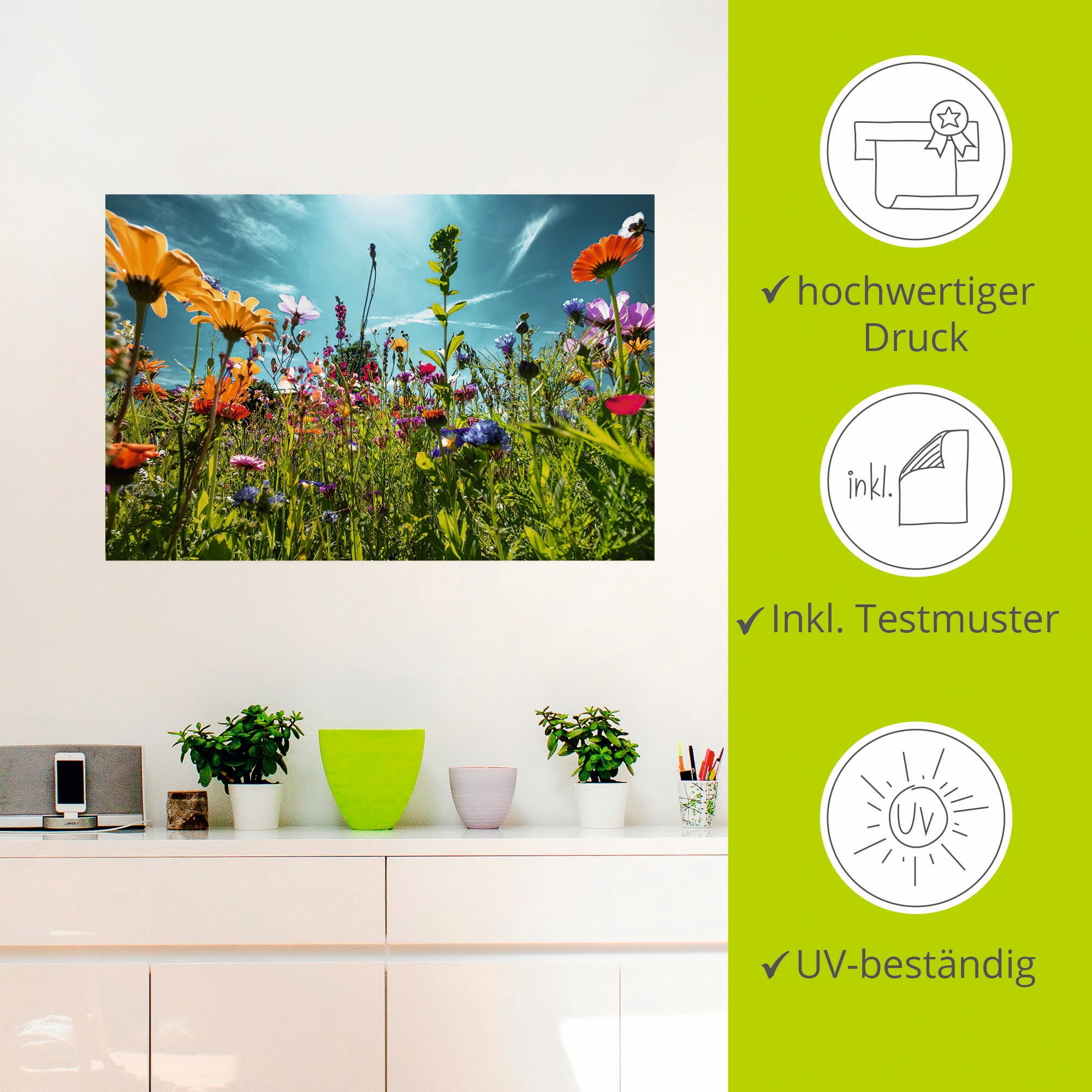 Artland Wandbild »Buntes Blumenfeld«, Blumenwiese, (1 St.), als Alubild, Outdoorbild, Leinwandbild, Poster, Wandaufkleber