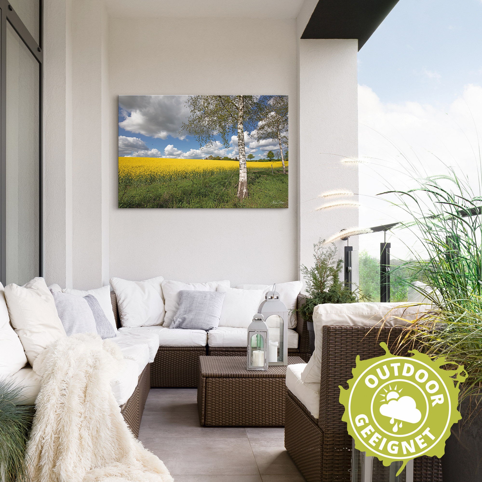 Artland Wandbild »Rapsfeld«, Wiesen & Baumbilder, (1 St.), als Alubild, Outdoorbild, Poster in verschied. Größen