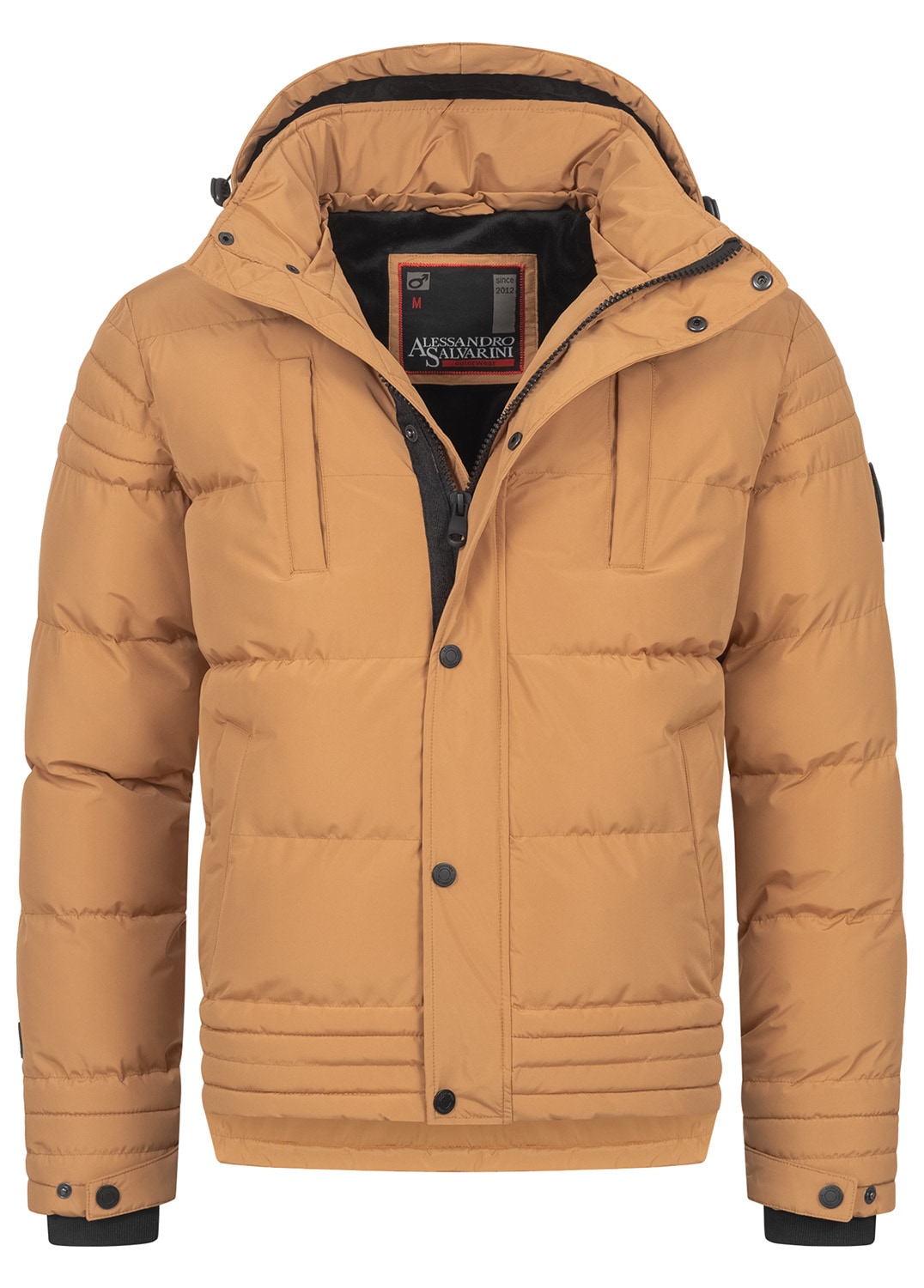 Alessandro Salvarini Winterjacke »A. Salvarini Herren Winterjacke AS281«